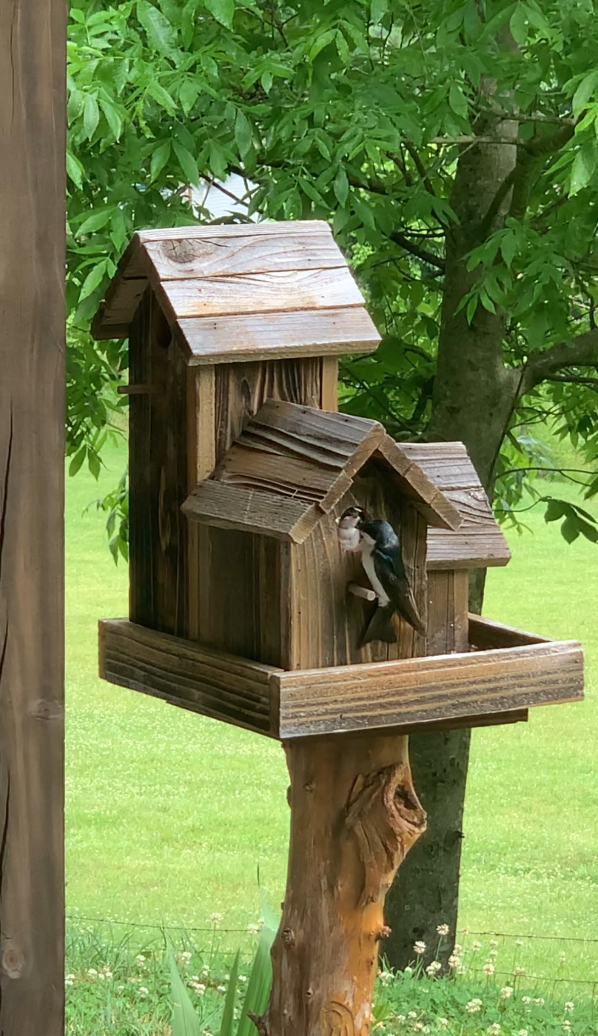 593 Gaulden Hollow Rd