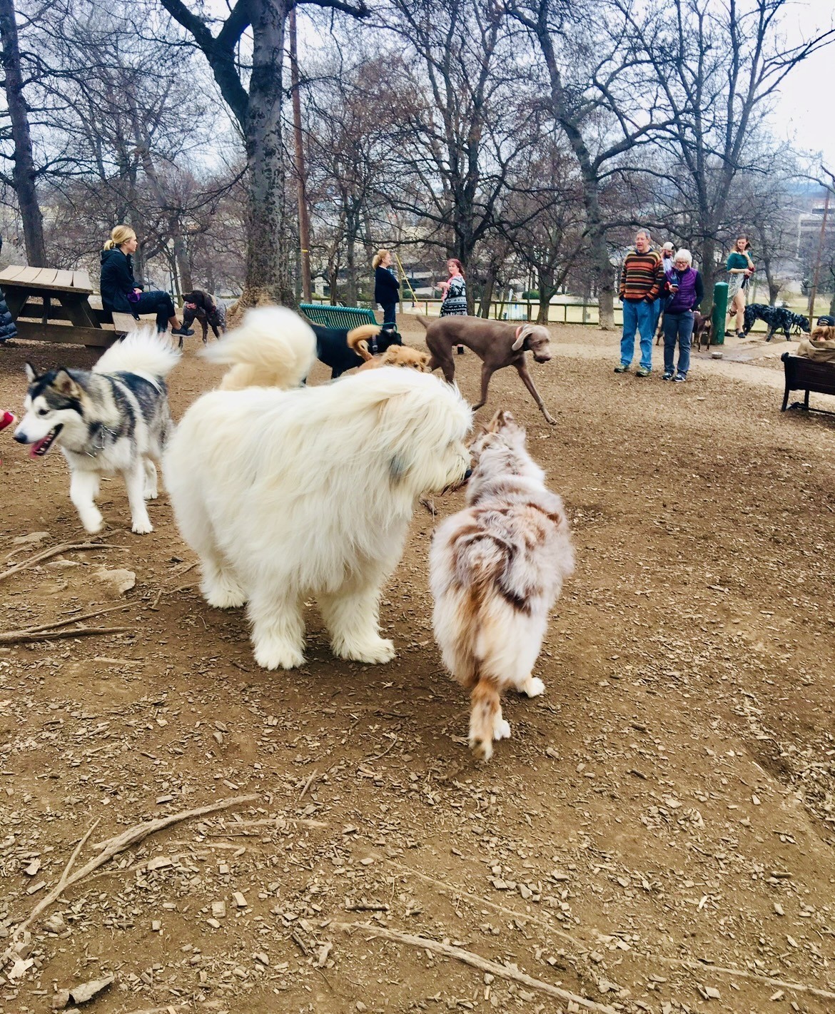 3000 Poston Ave Unit: 503