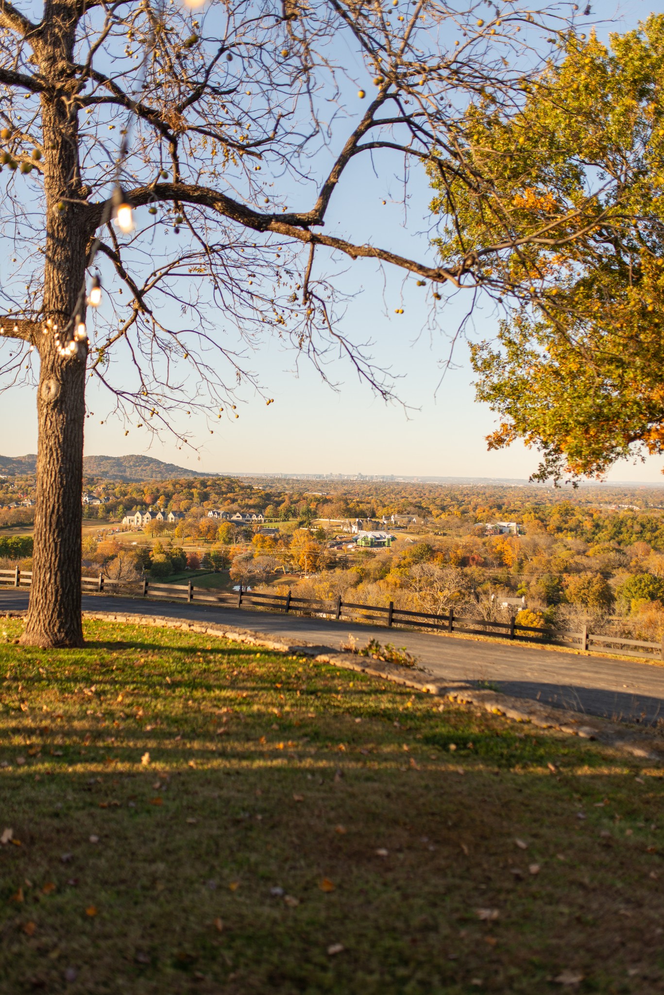 9227 Old Smyrna Rd Lot 1