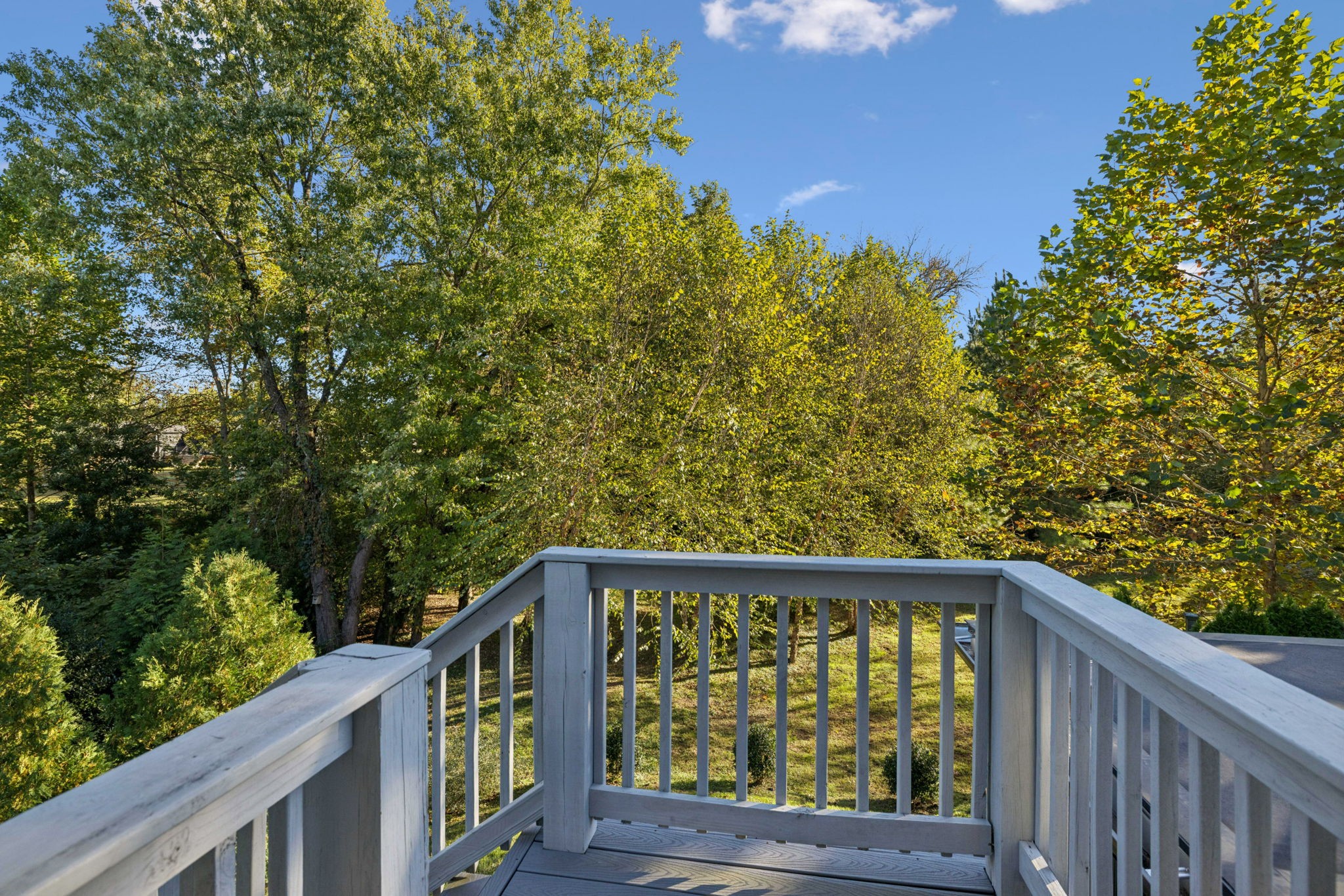 1023 Benelli Park Ct