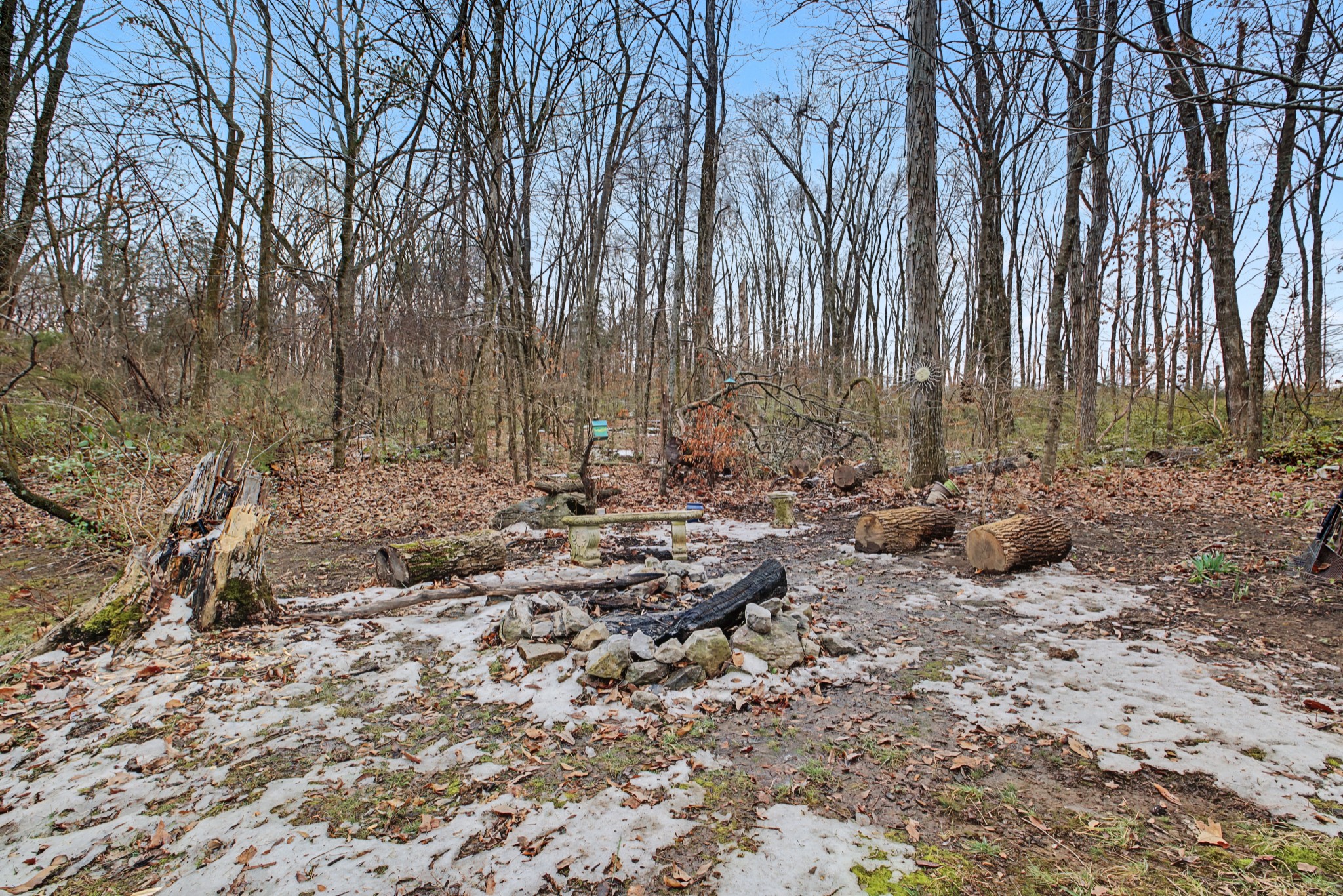 1857 Woodland Pointe Dr