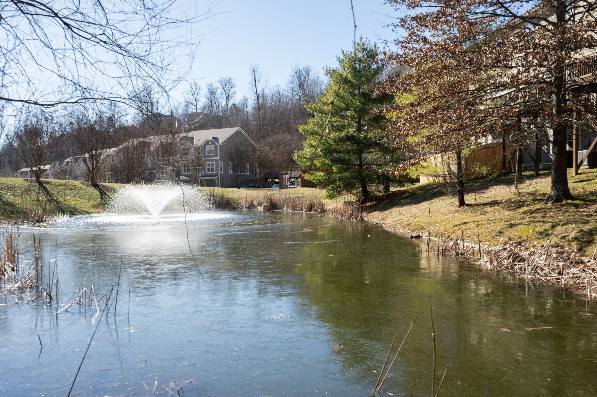 1112 Woodbury Falls Ct