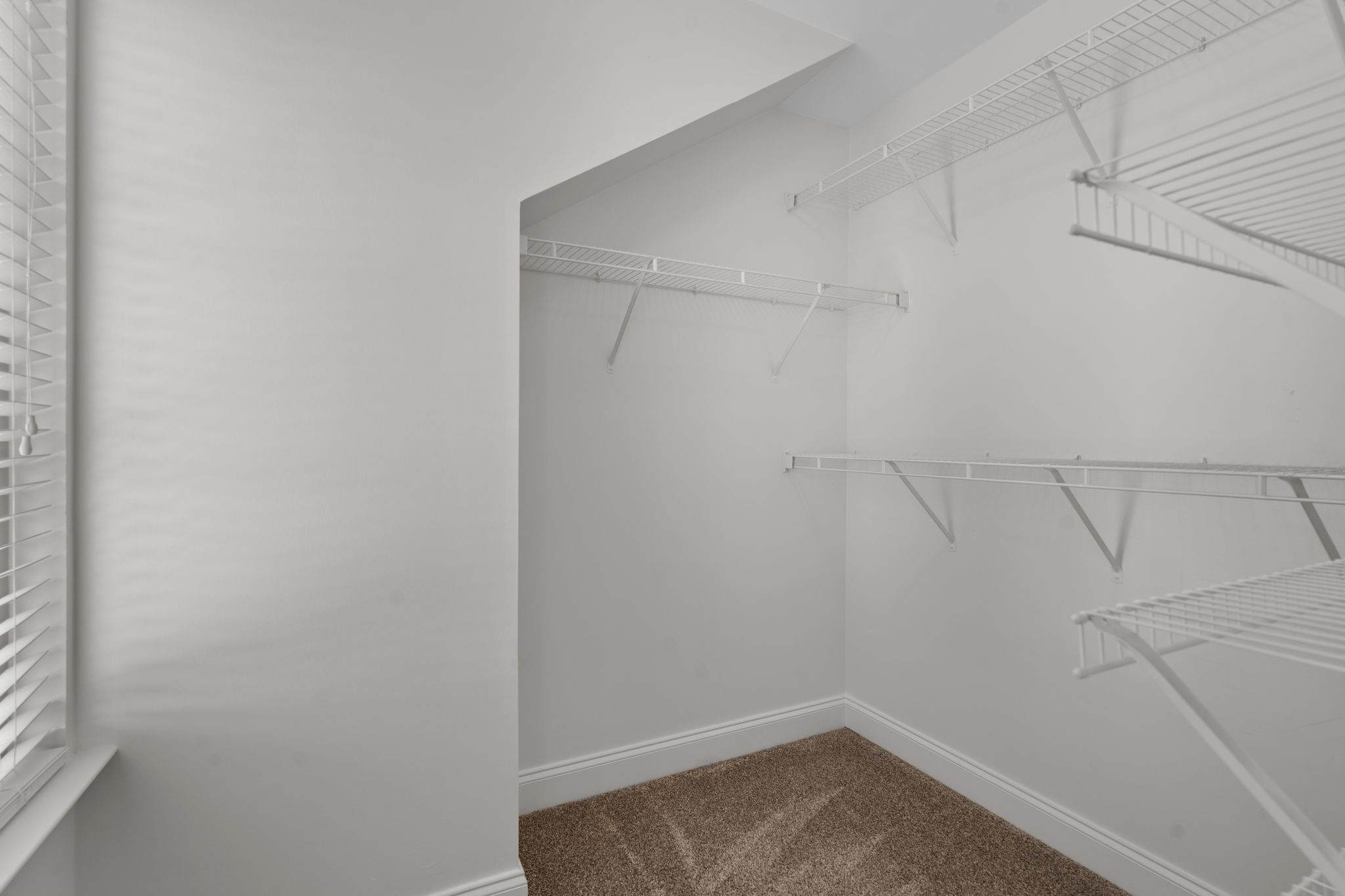 1112 Woodbury Falls Ct