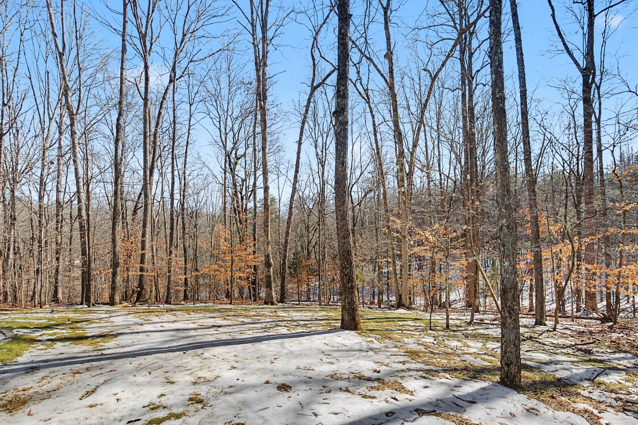 1165 Whippoorwill Dr