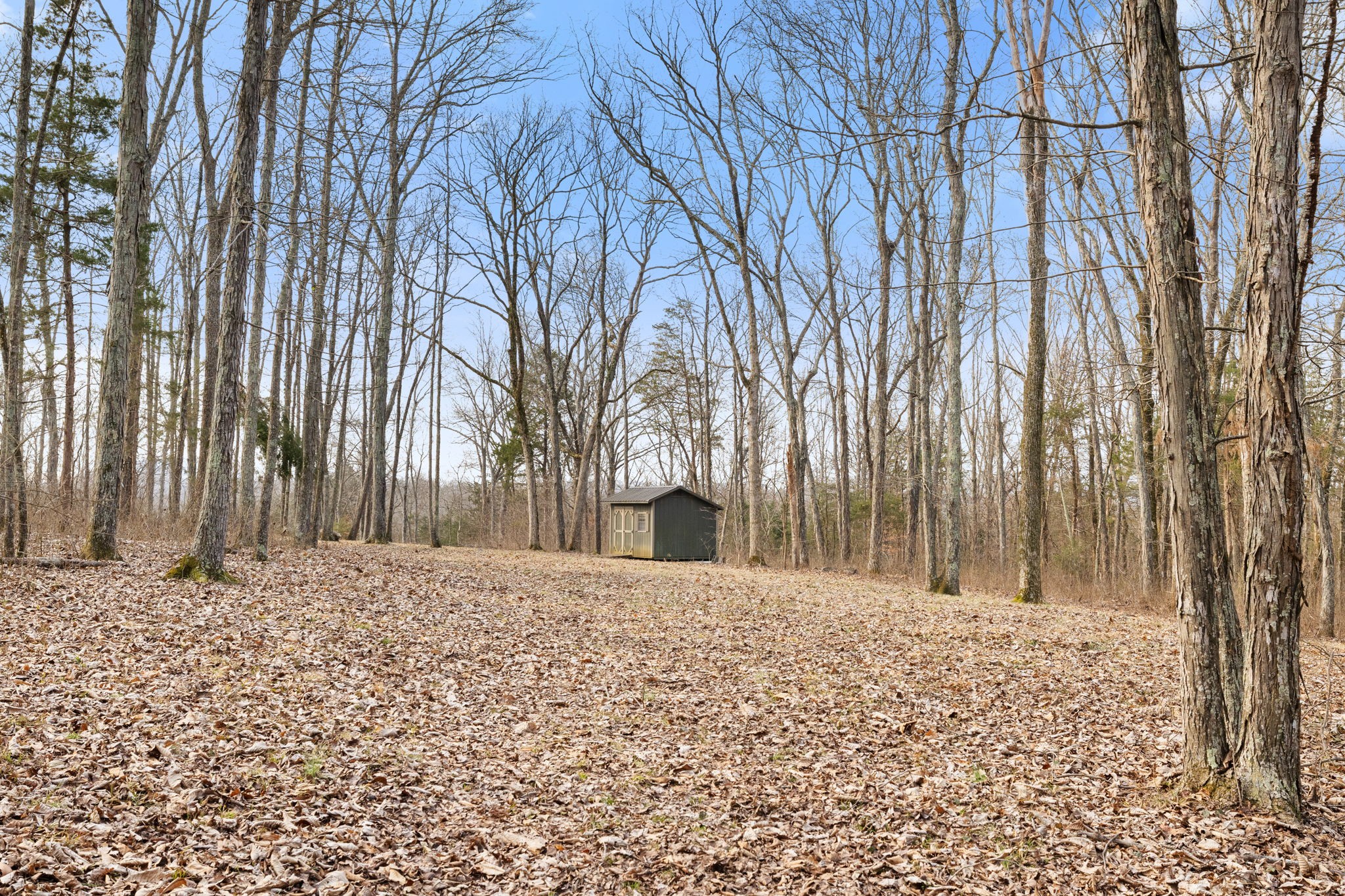 3888 Coleman Hill Rd