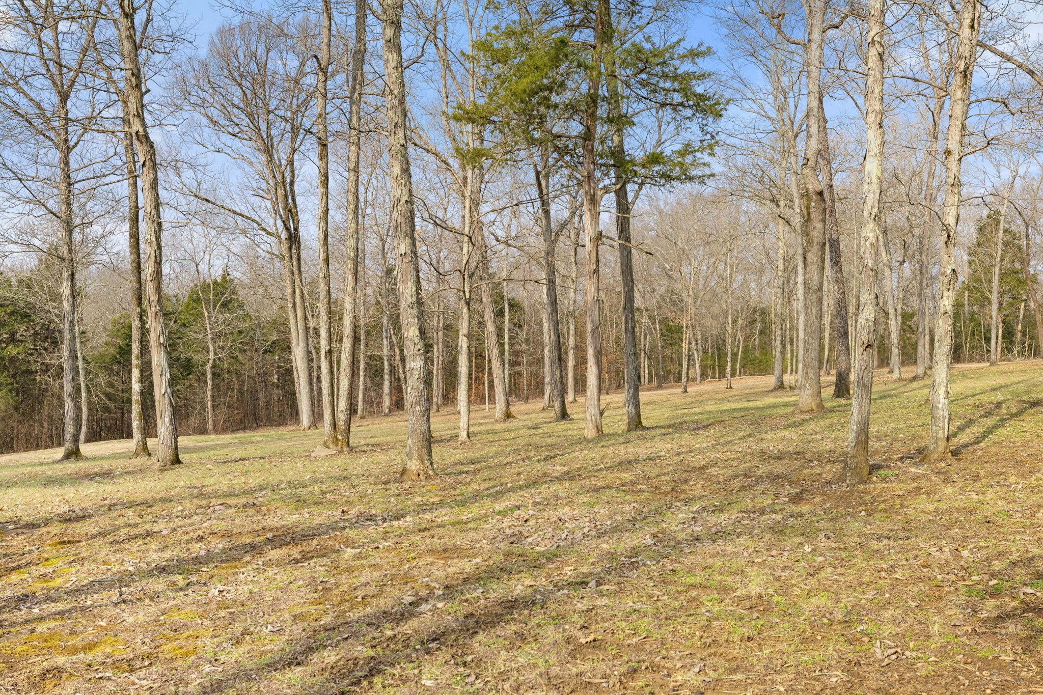 3888 Coleman Hill Rd