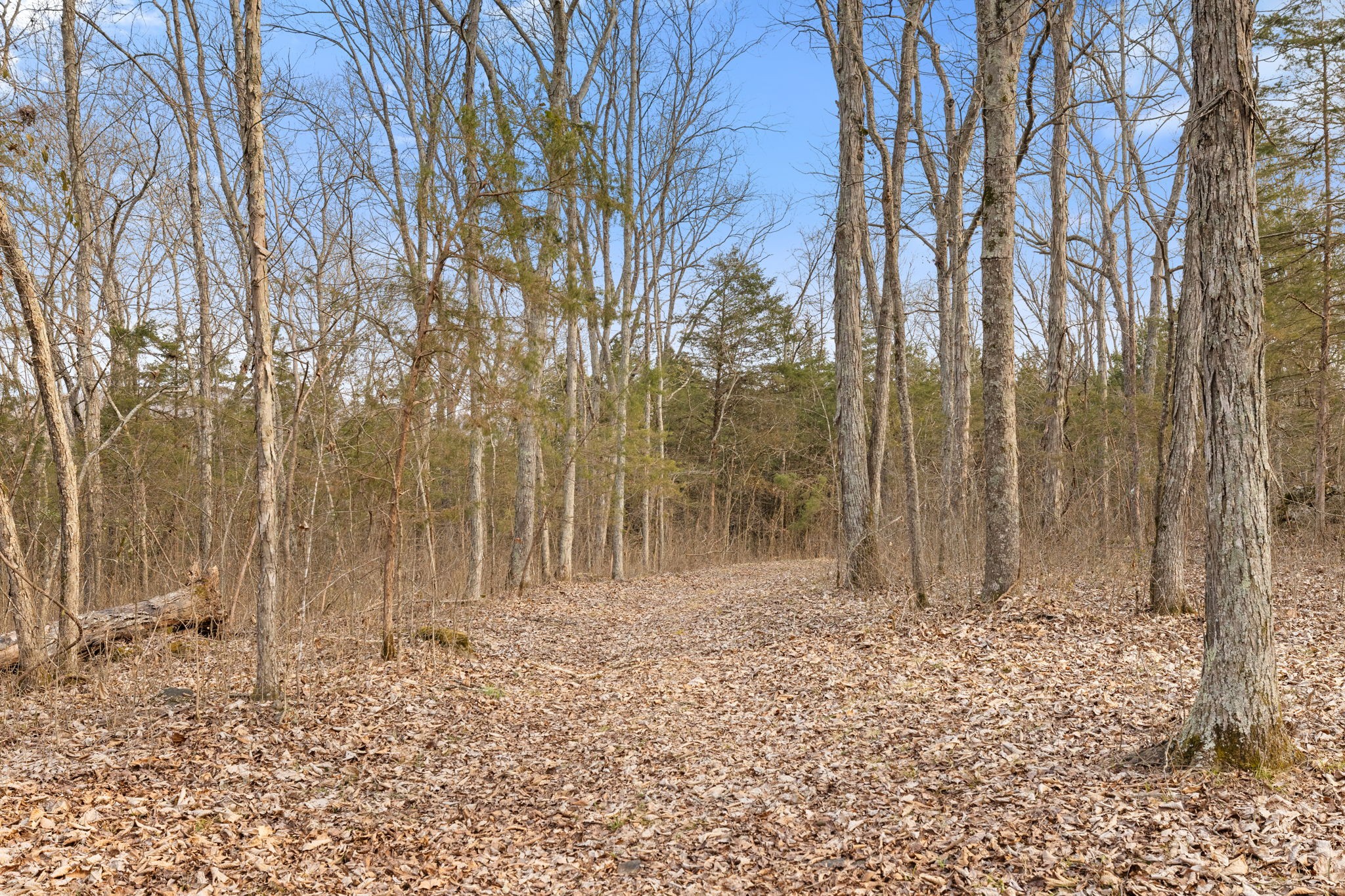 3888 Coleman Hill Rd