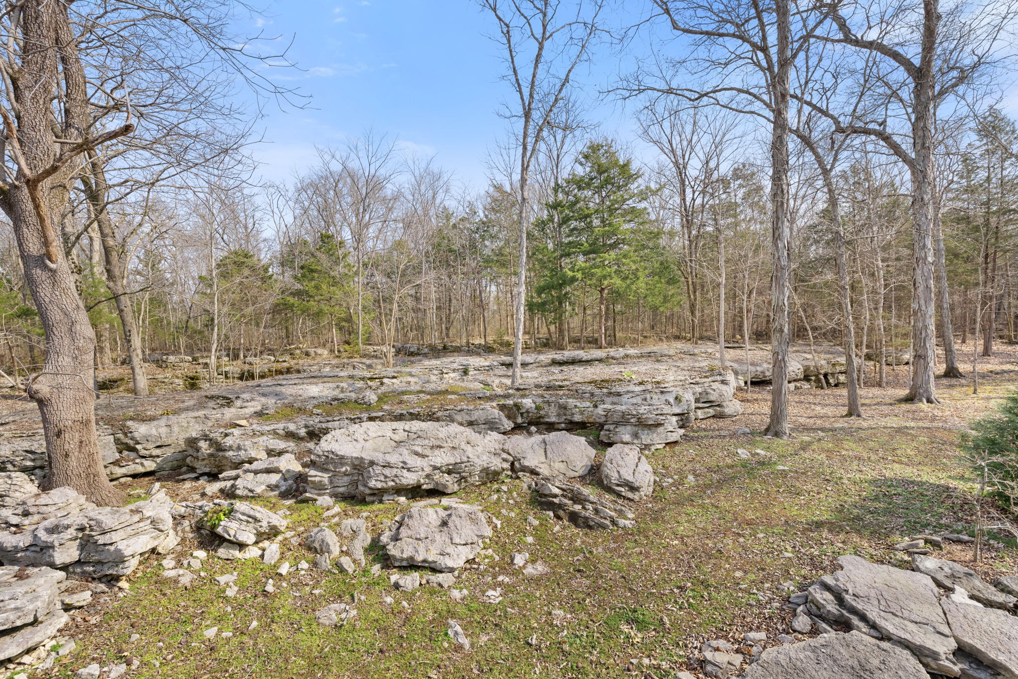 3888 Coleman Hill Rd