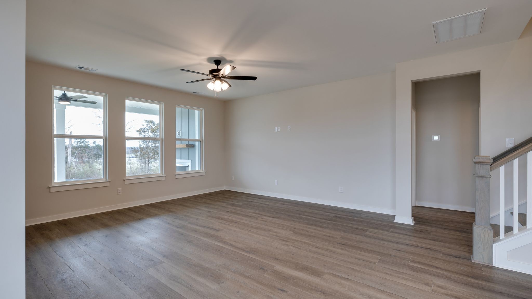 4162 Dream Beetle Loop