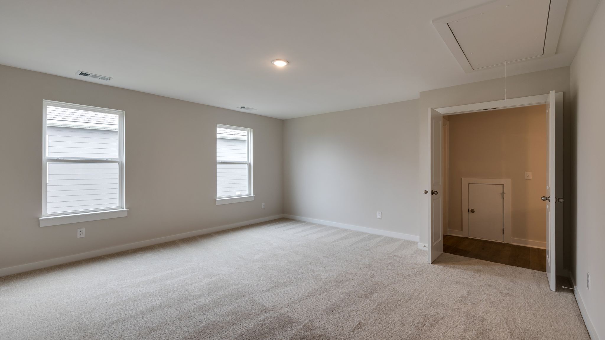 4162 Dream Beetle Loop