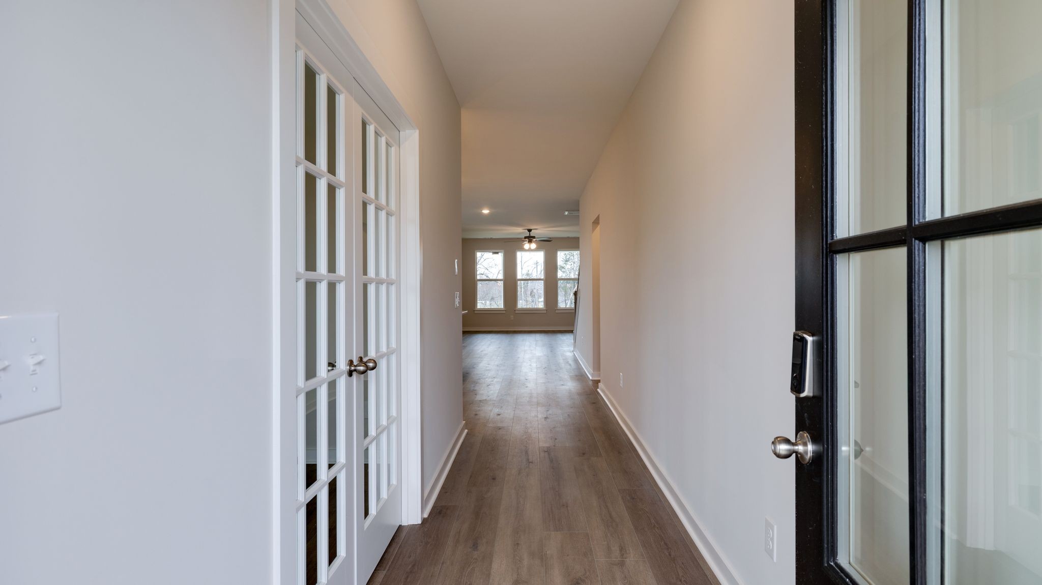 4162 Dream Beetle Loop