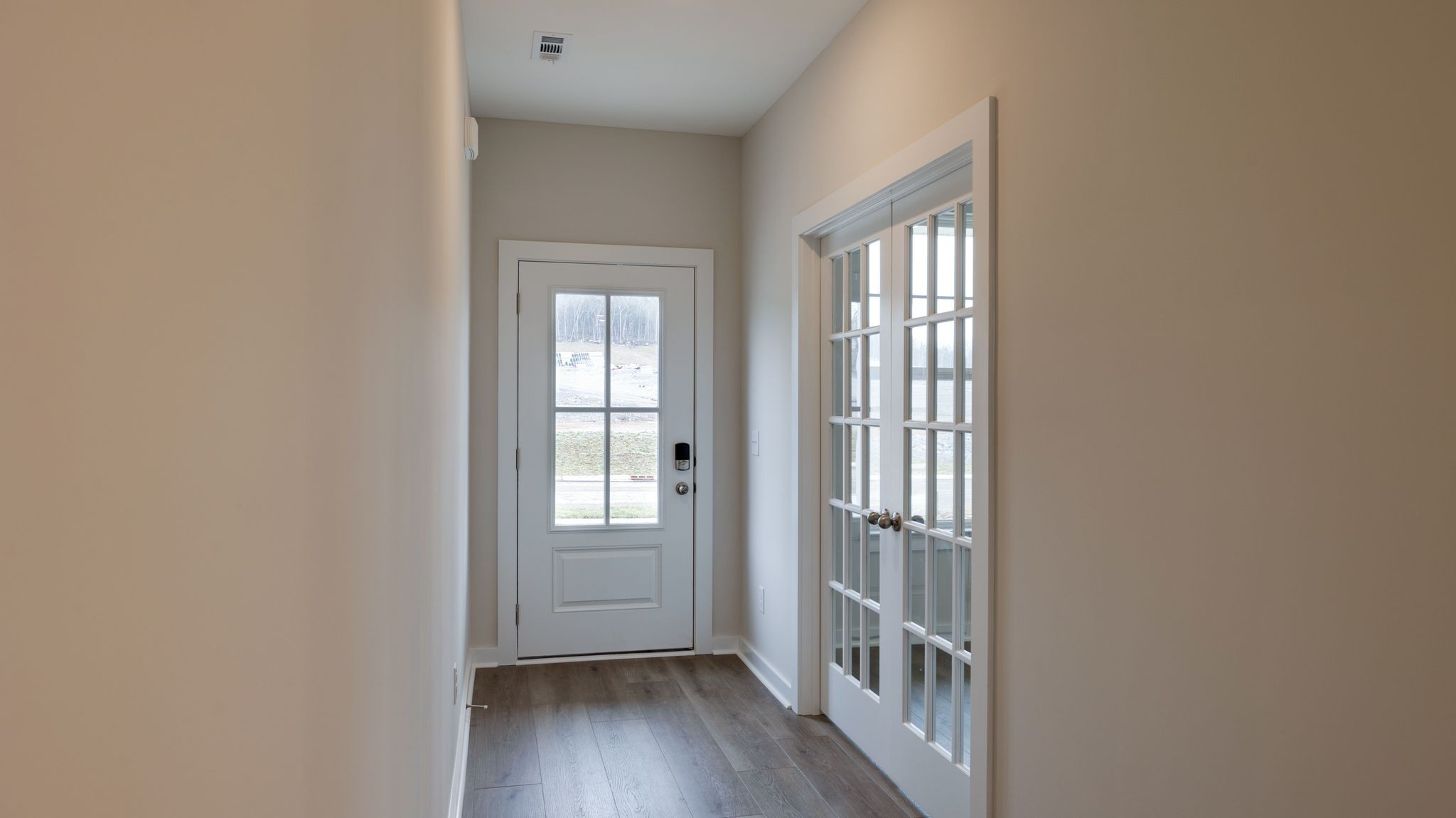 4162 Dream Beetle Loop