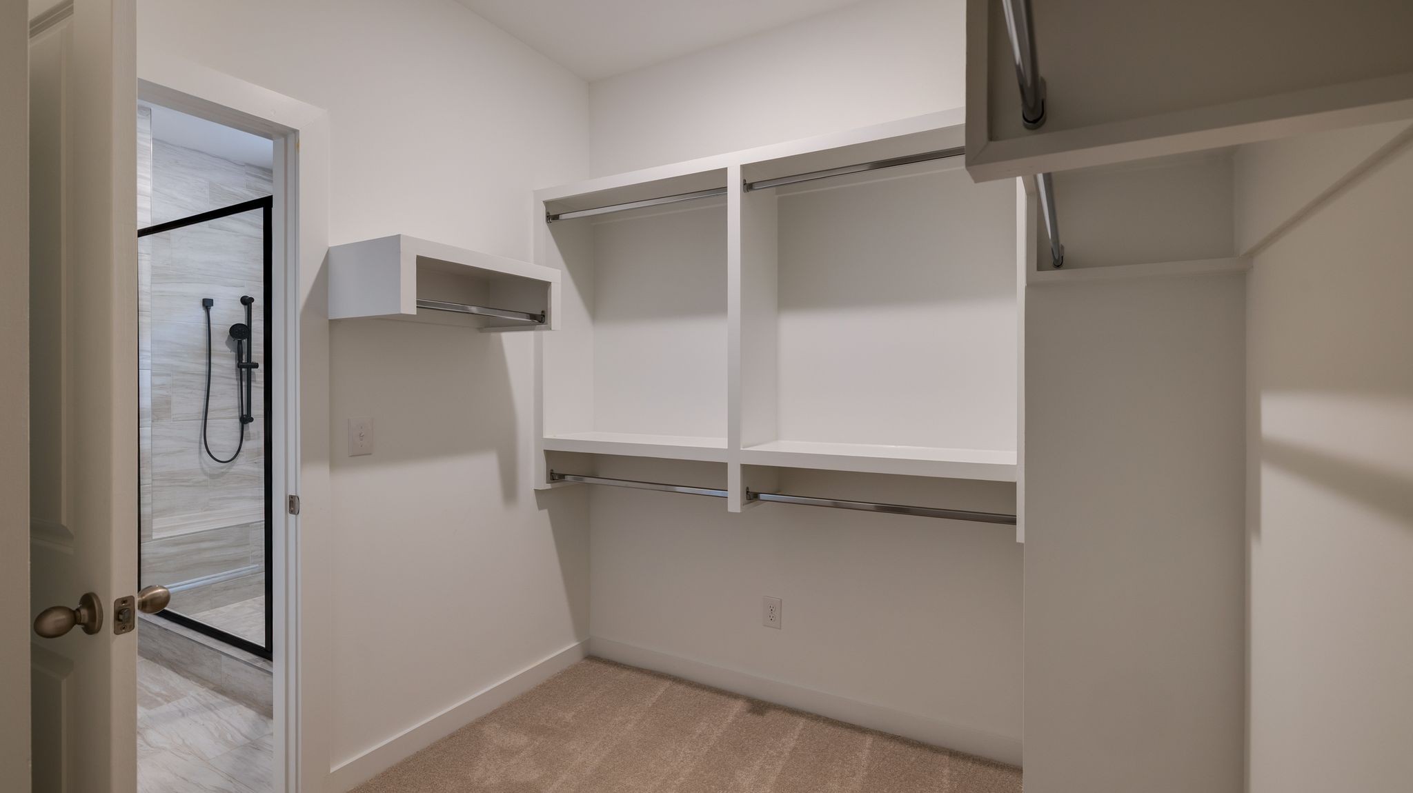 4162 Dream Beetle Loop