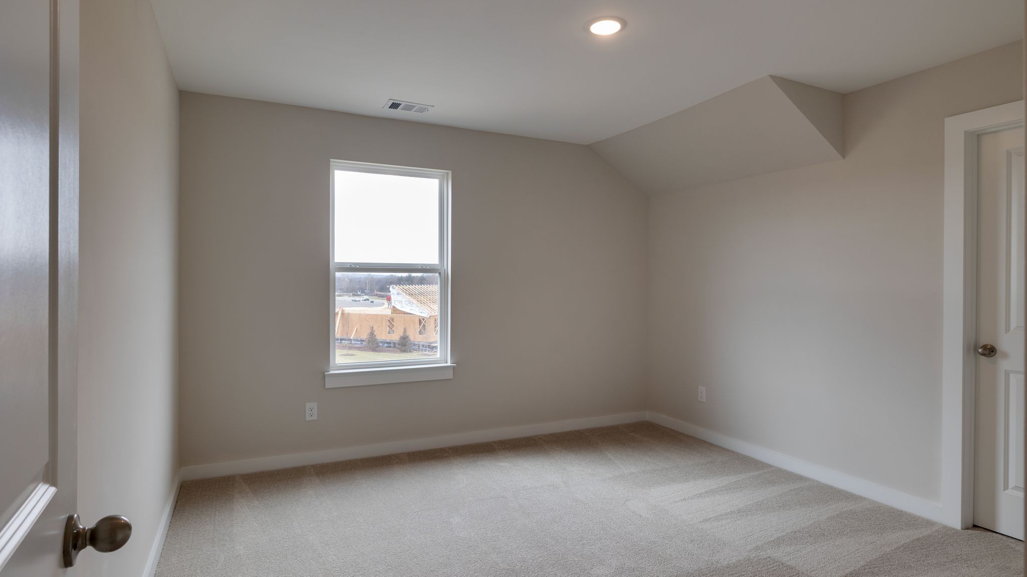 4162 Dream Beetle Loop