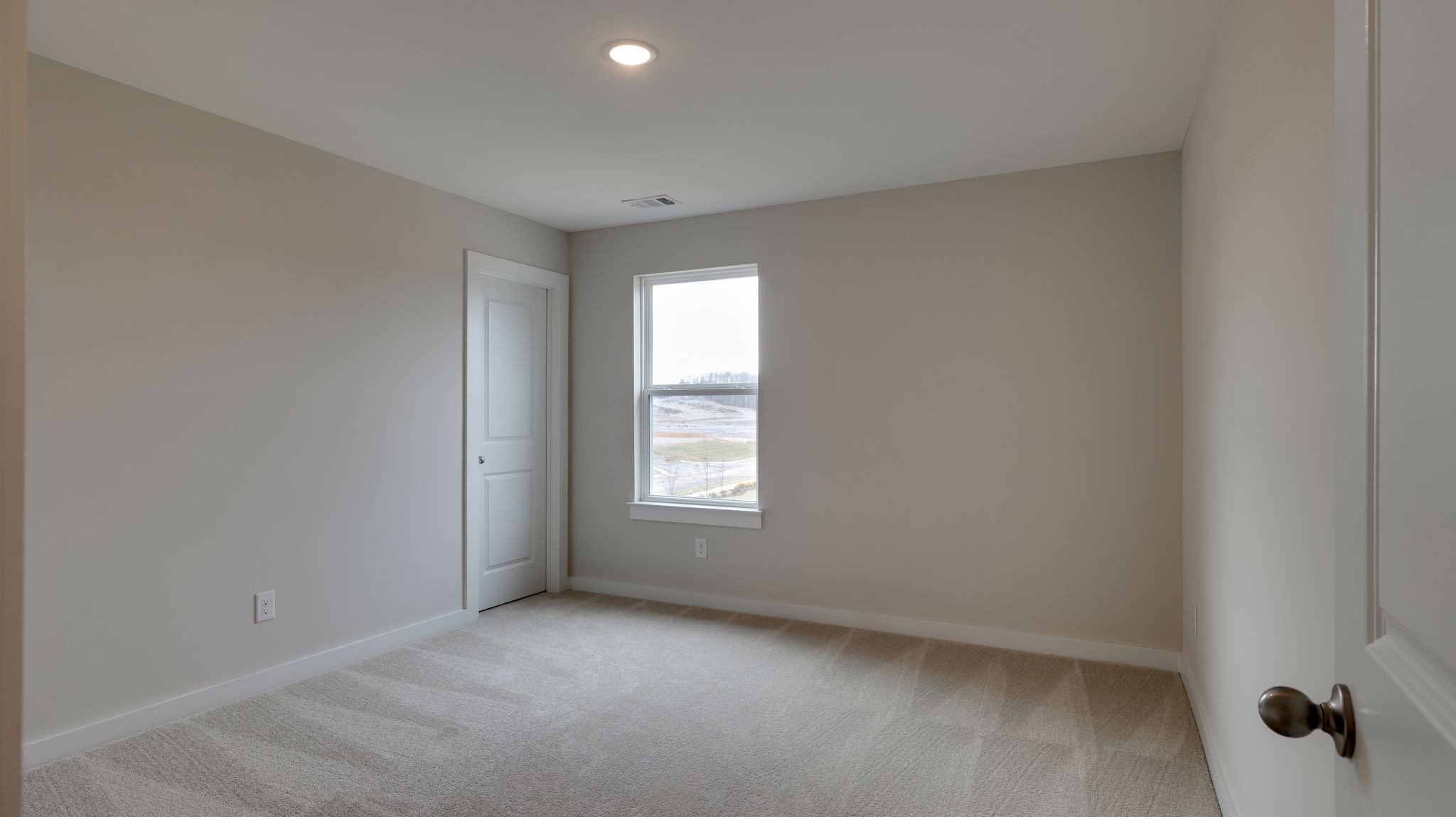 4162 Dream Beetle Loop