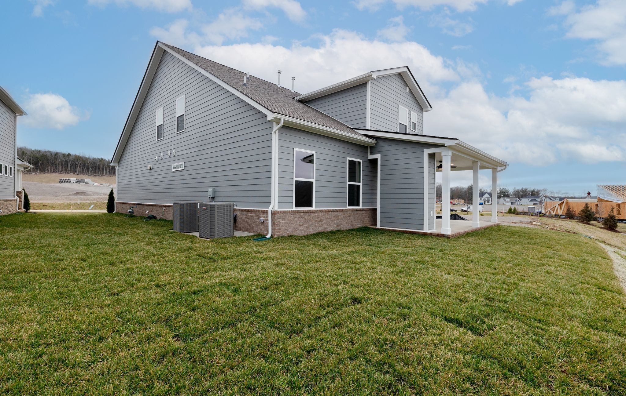 4162 Dream Beetle Loop