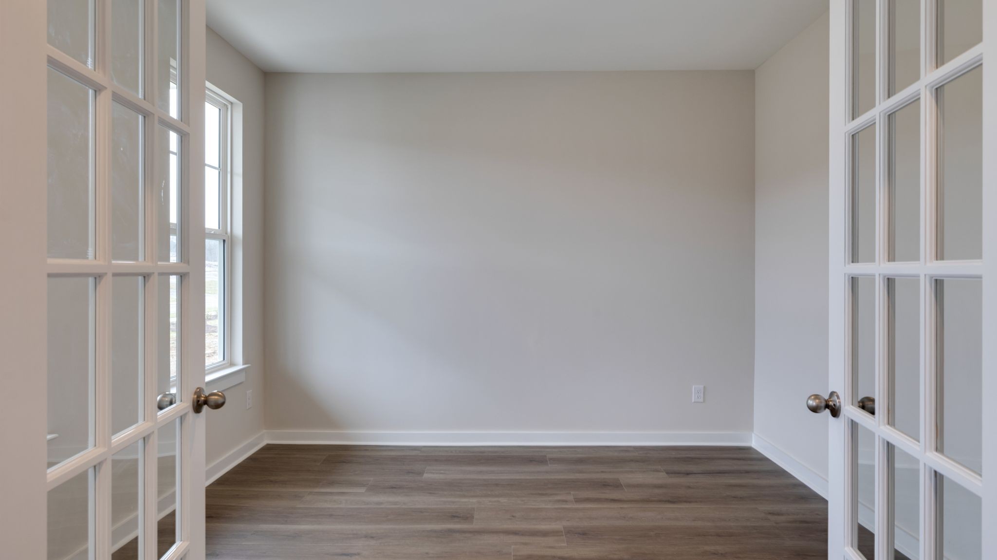 4162 Dream Beetle Loop