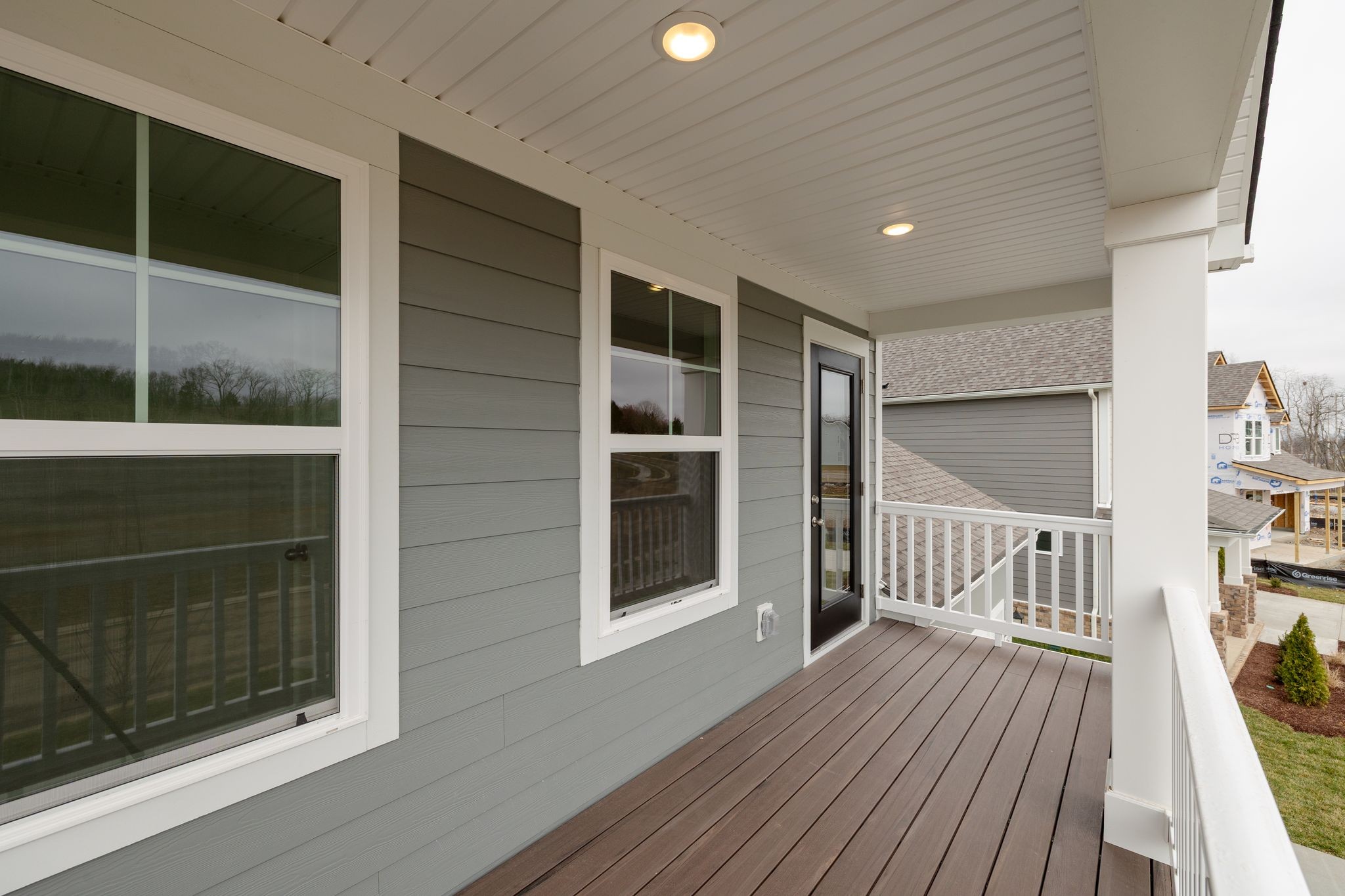 4162 Dream Beetle Loop