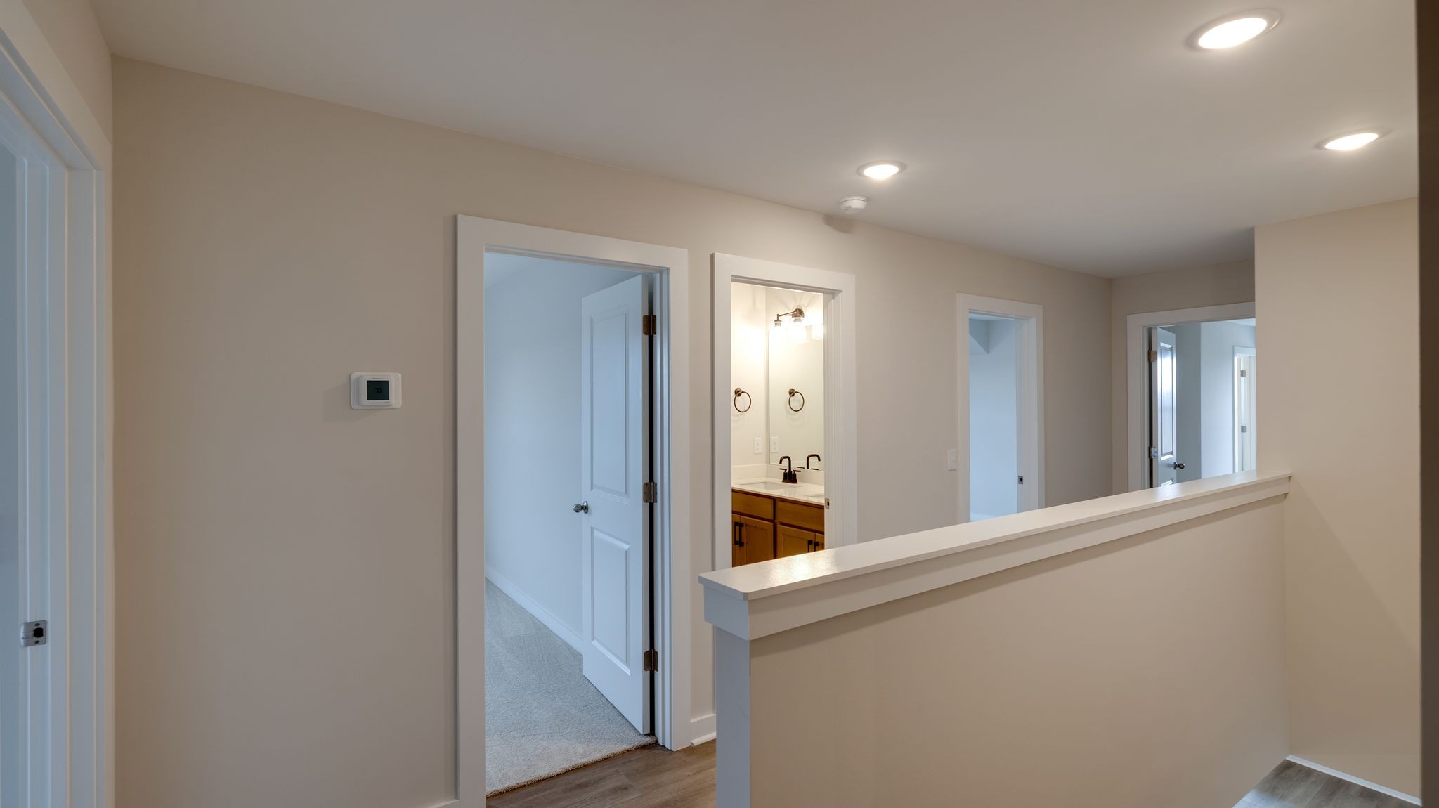 4162 Dream Beetle Loop