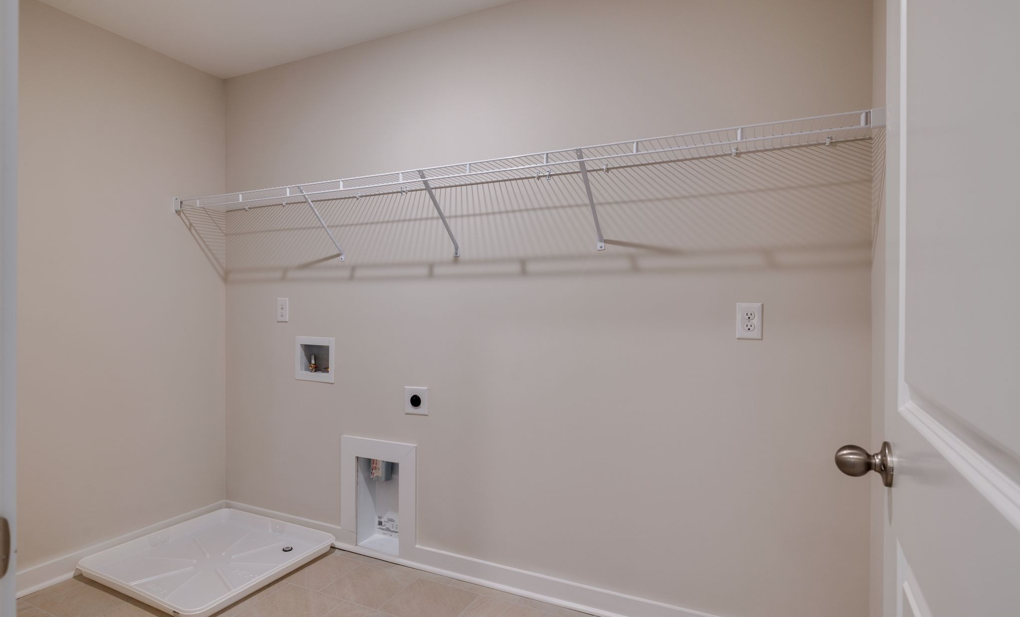 4158 Dream Beetle Loop