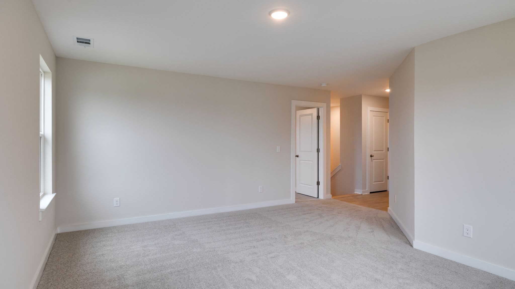 4158 Dream Beetle Loop