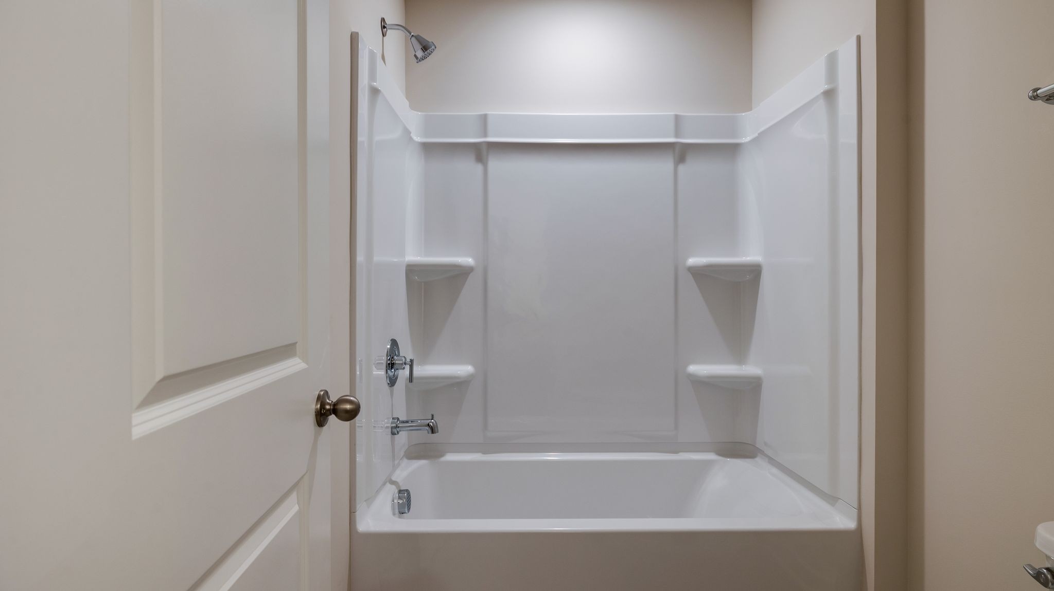 4158 Dream Beetle Loop