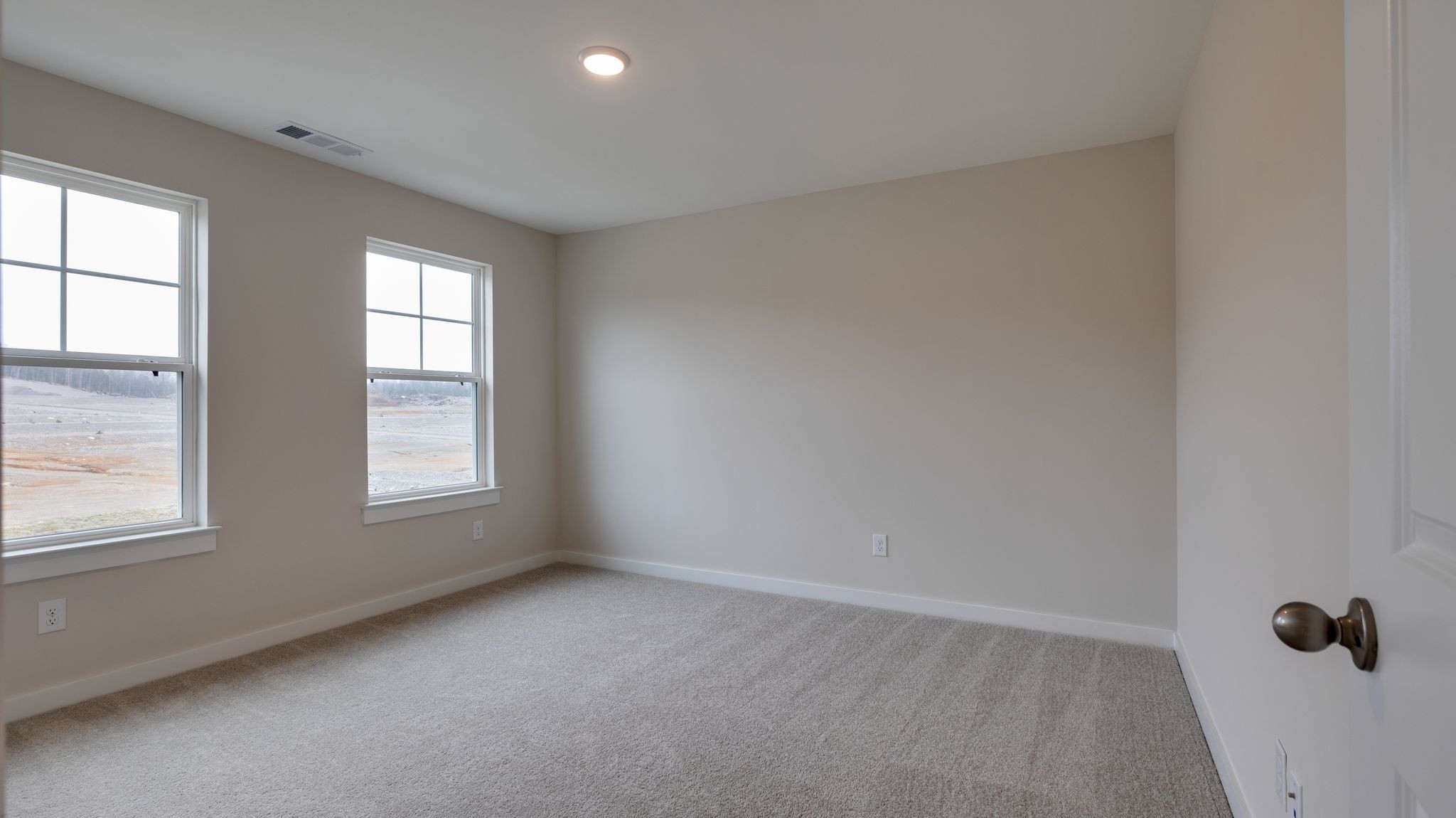 4158 Dream Beetle Loop