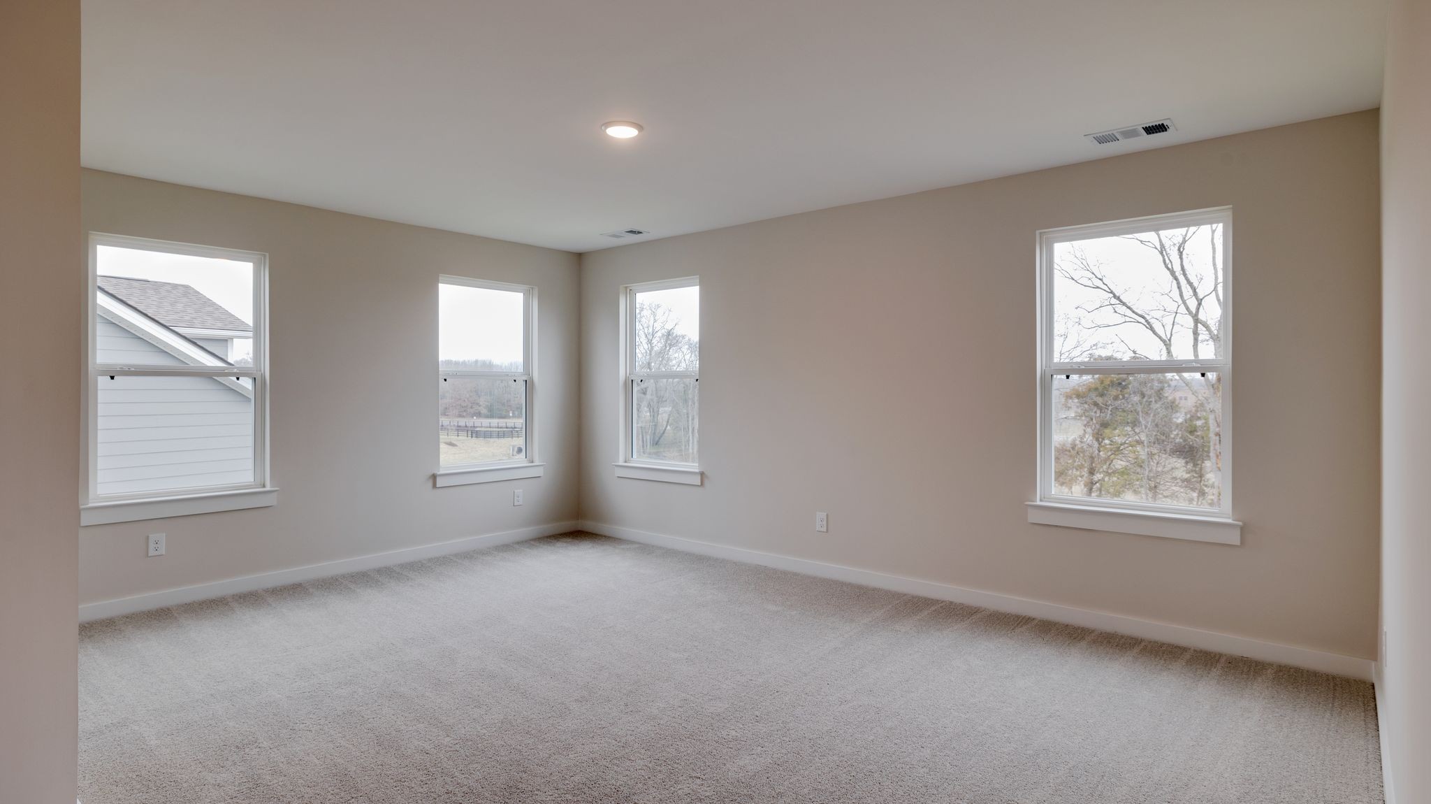 4158 Dream Beetle Loop