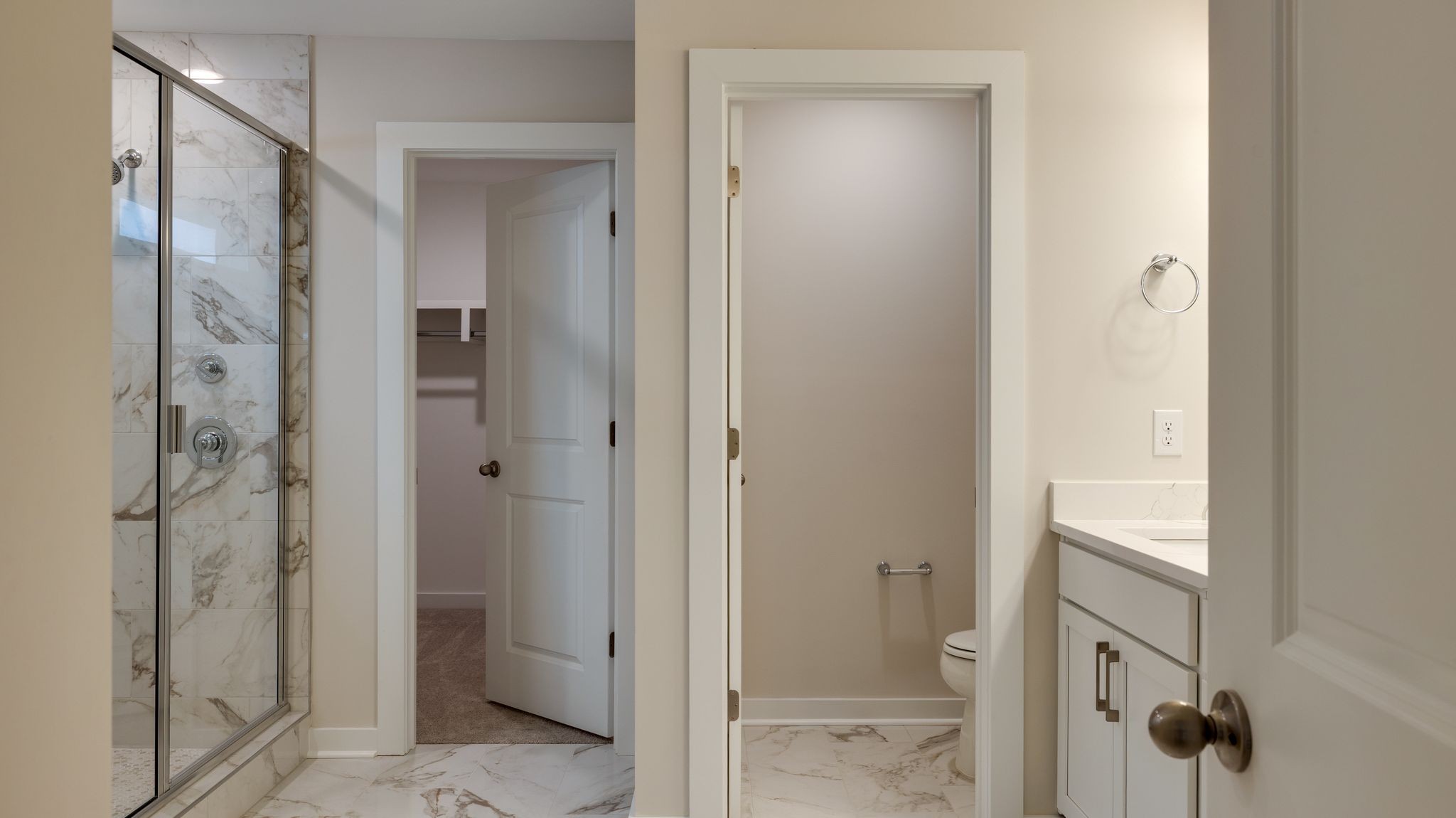 4158 Dream Beetle Loop