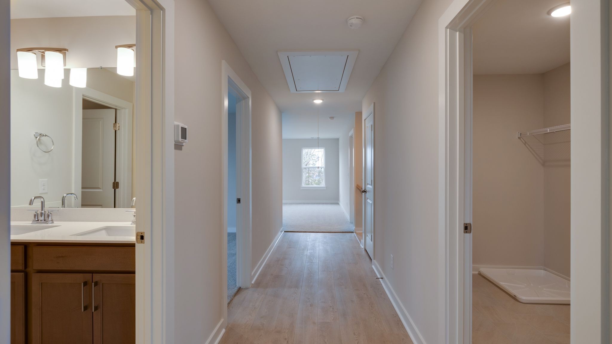 4158 Dream Beetle Loop