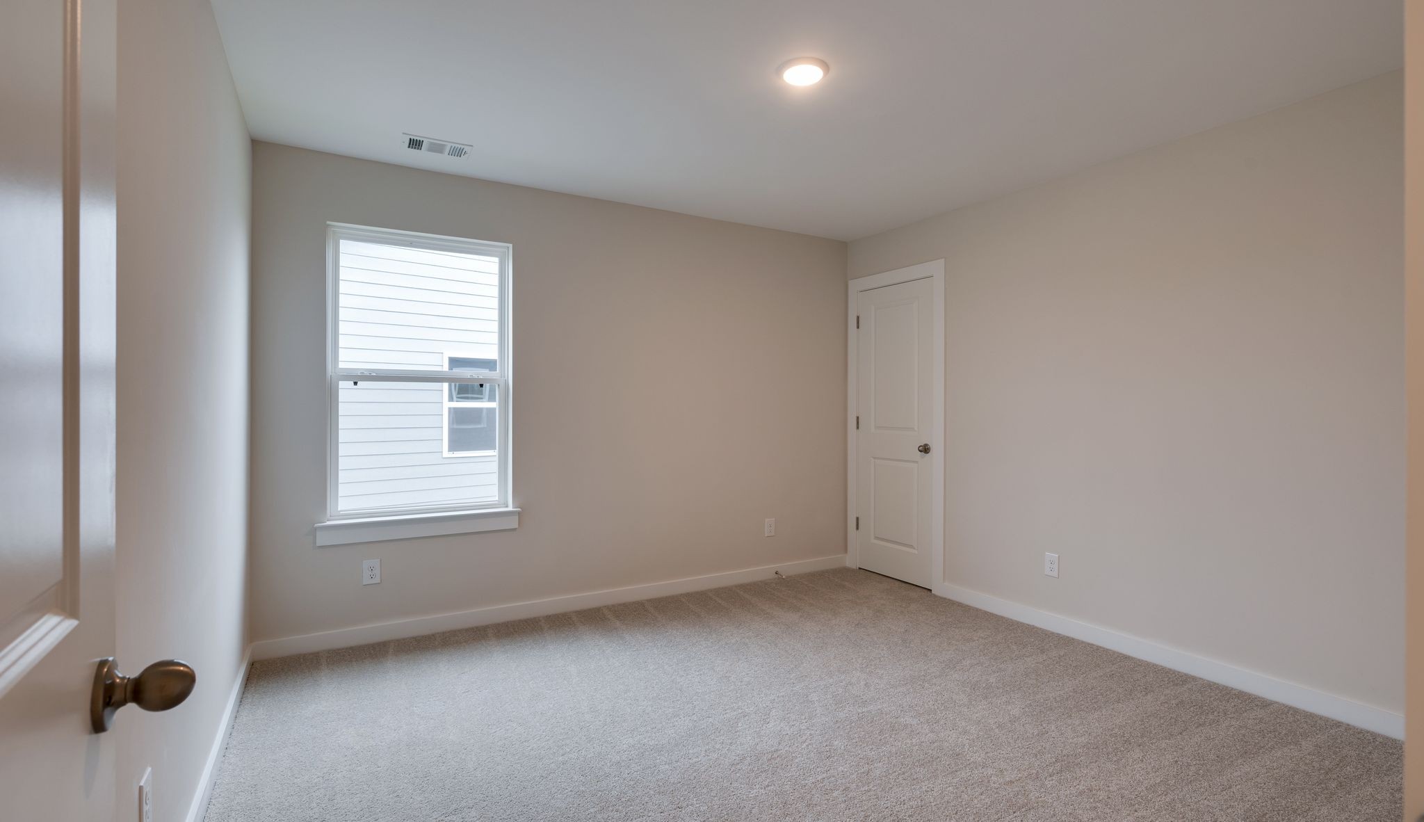 4158 Dream Beetle Loop