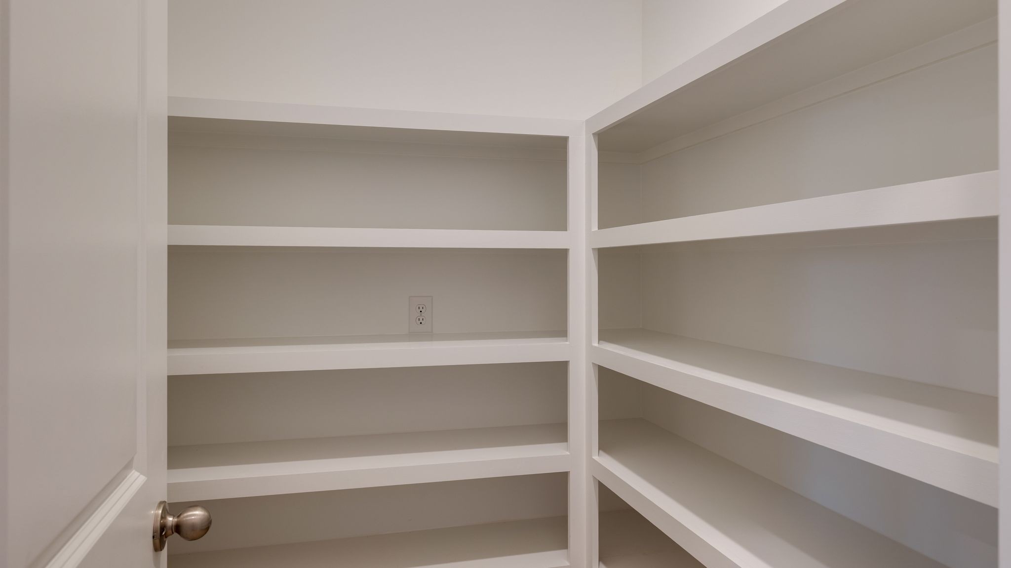 4158 Dream Beetle Loop