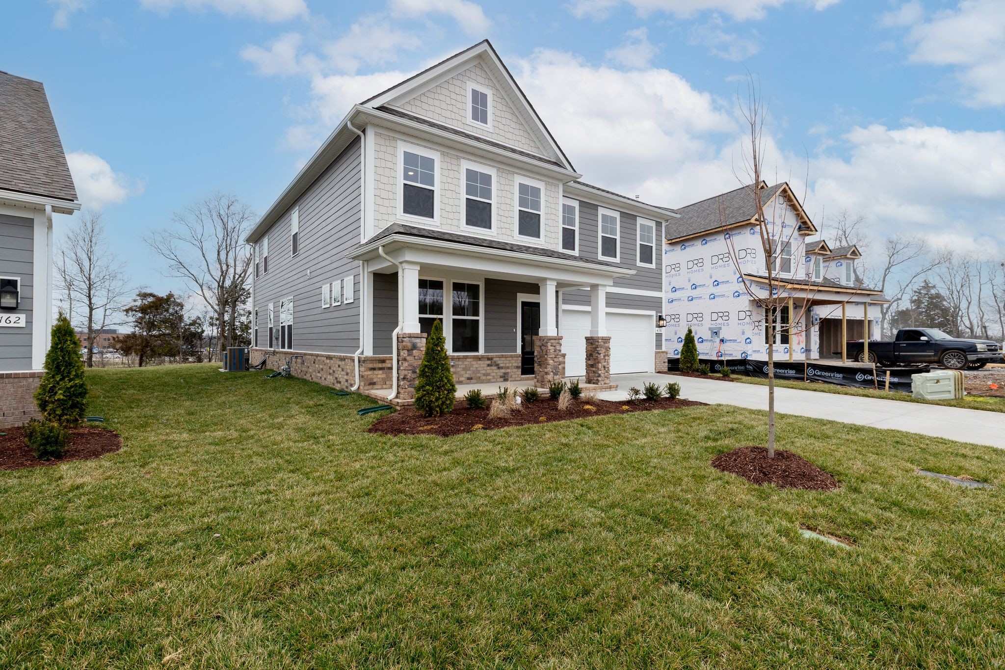 4158 Dream Beetle Loop