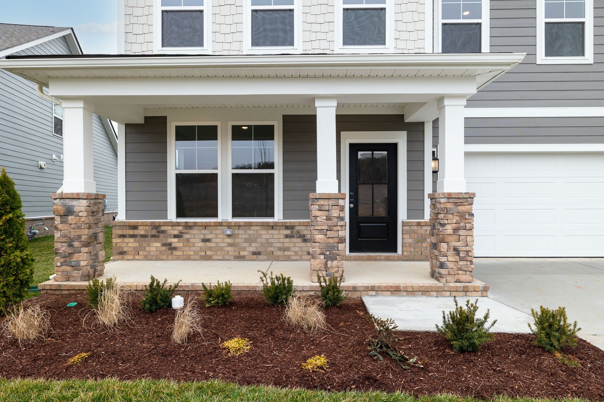 4158 Dream Beetle Loop