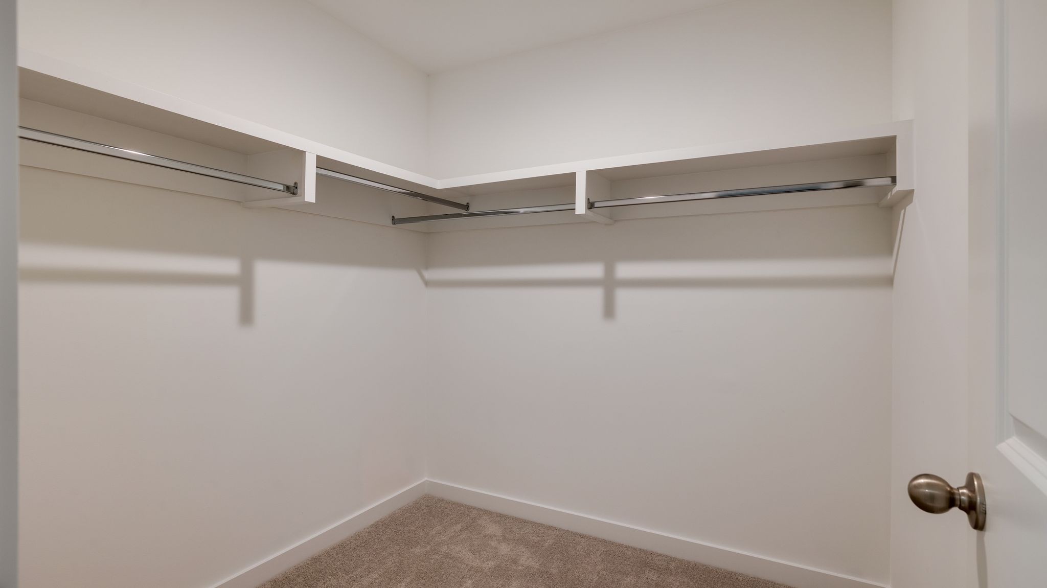 4158 Dream Beetle Loop