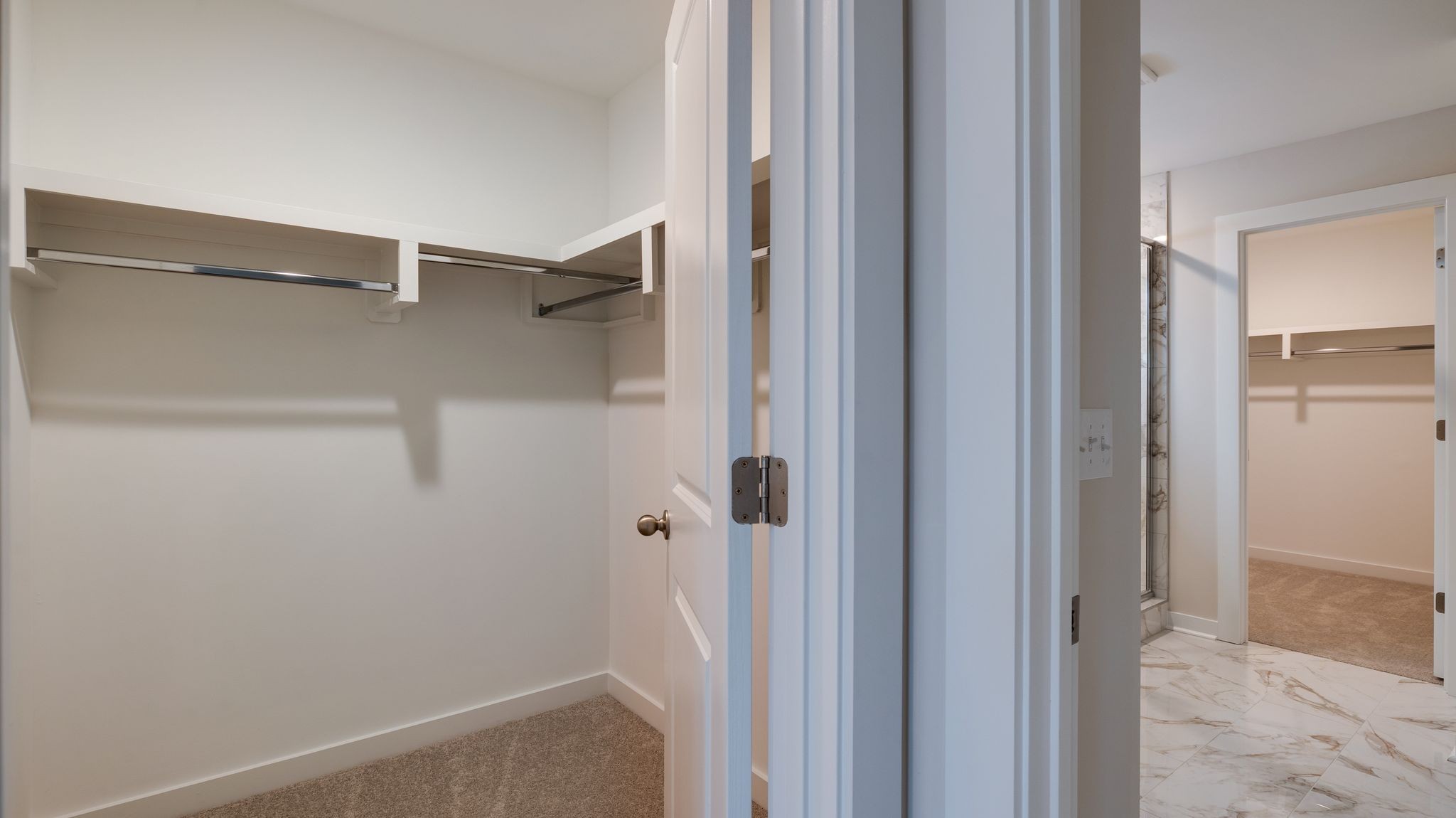 4158 Dream Beetle Loop