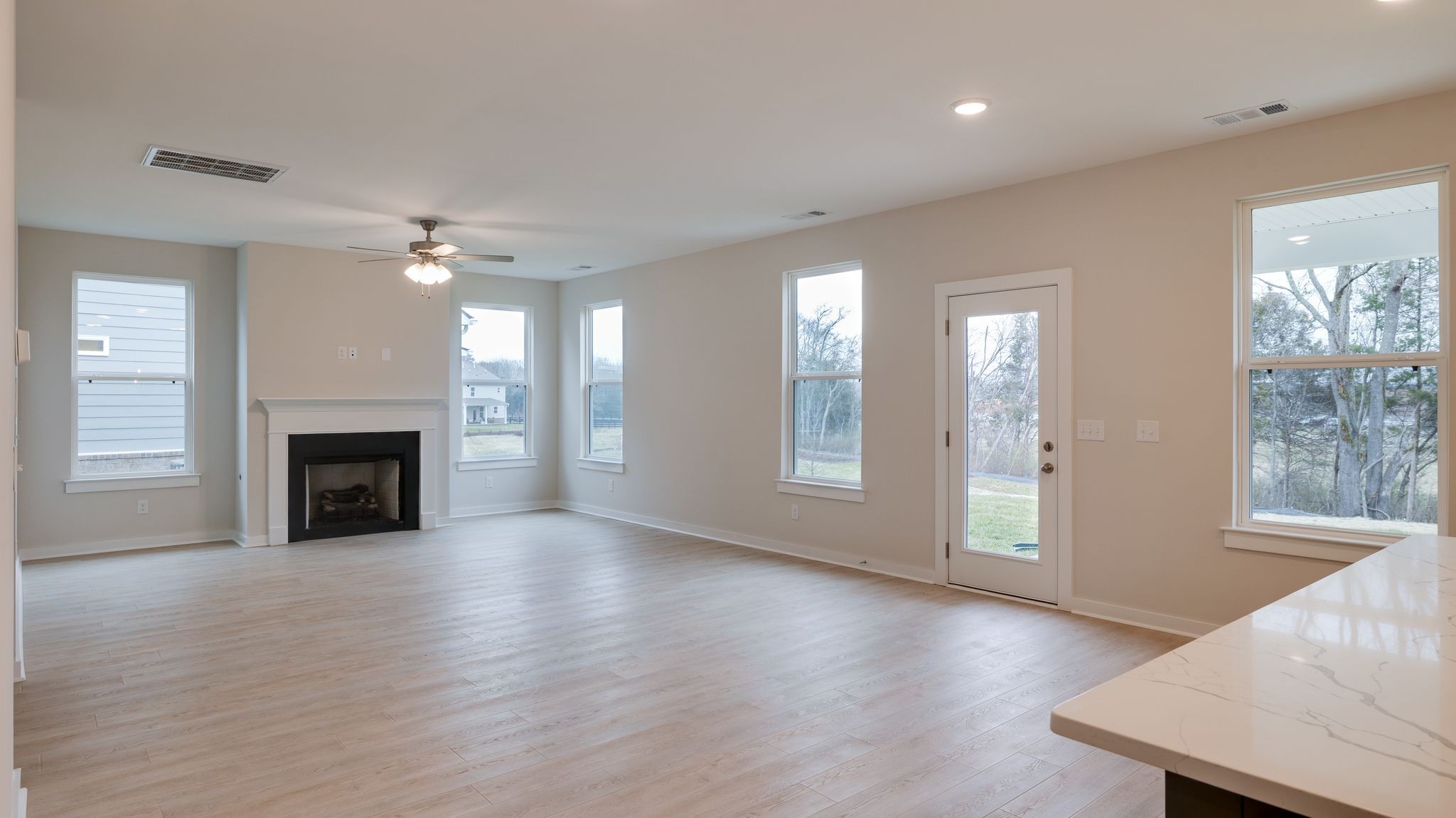 4158 Dream Beetle Loop