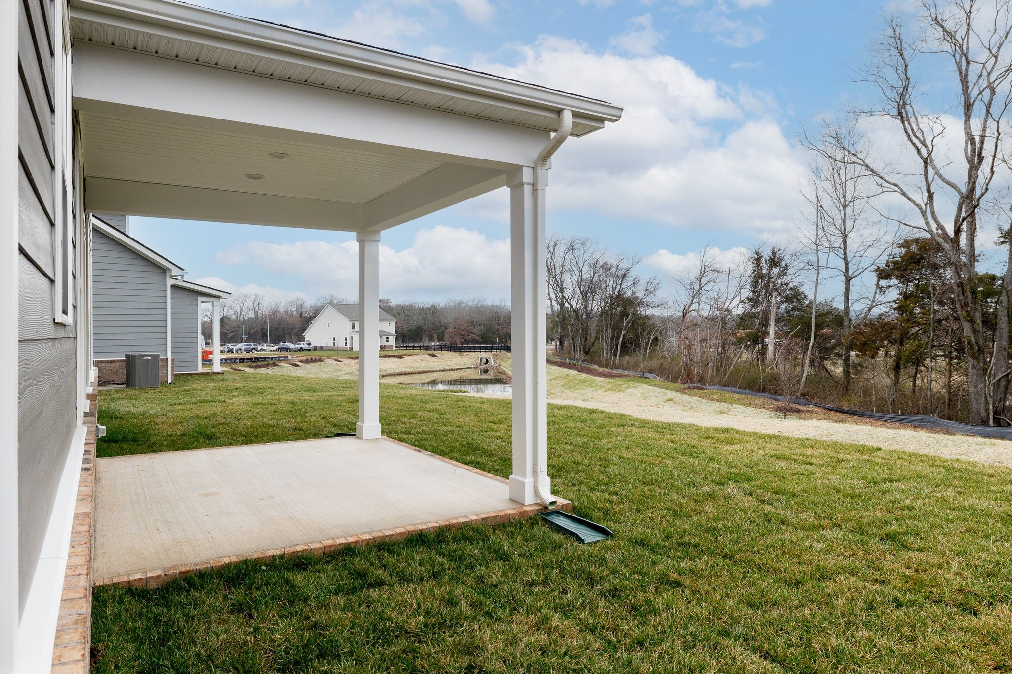 4158 Dream Beetle Loop