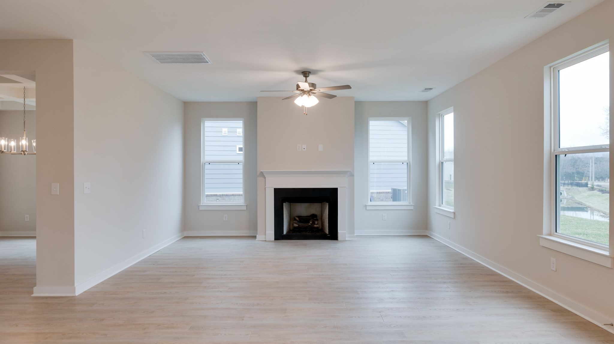 4158 Dream Beetle Loop