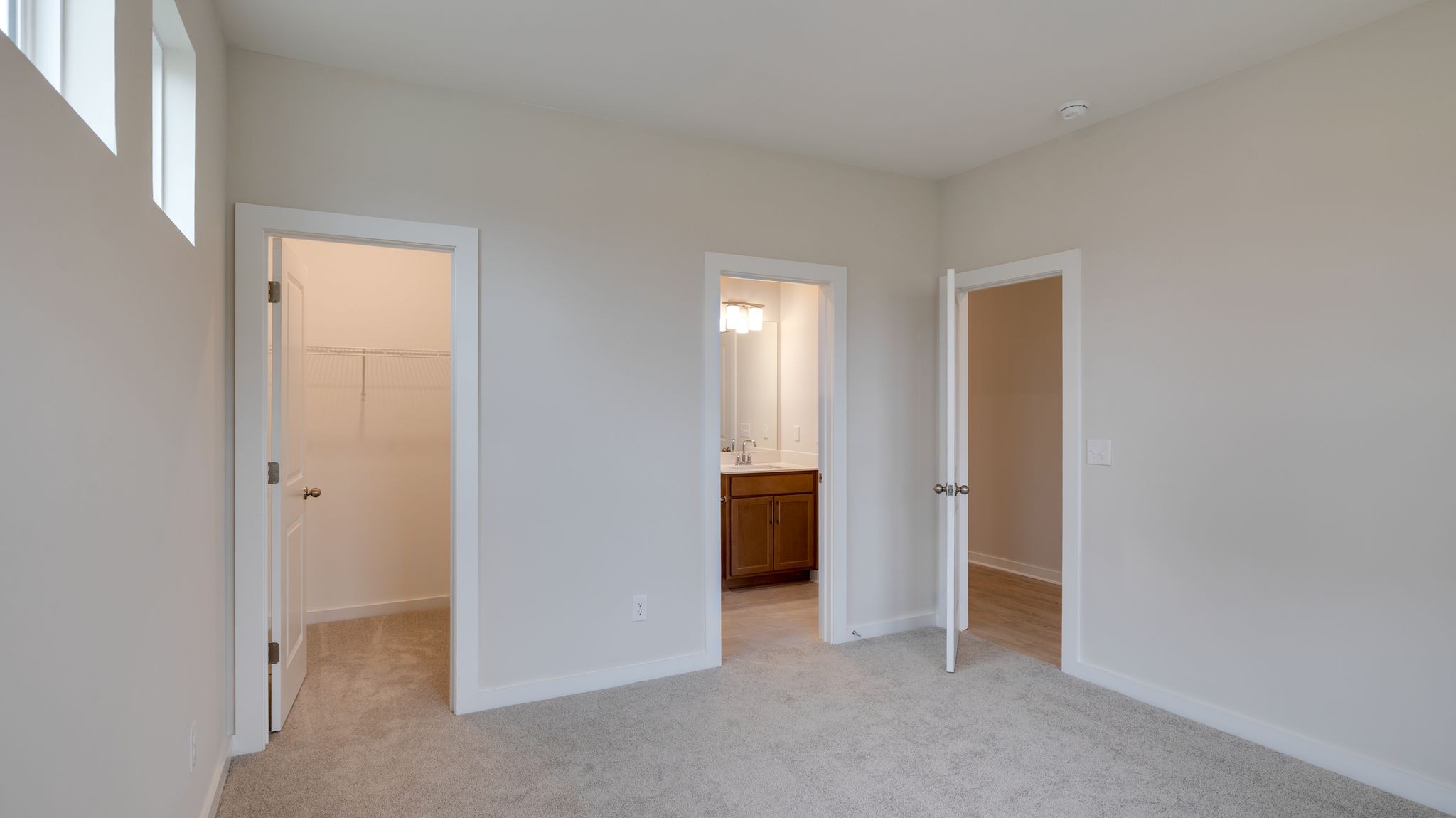 4158 Dream Beetle Loop