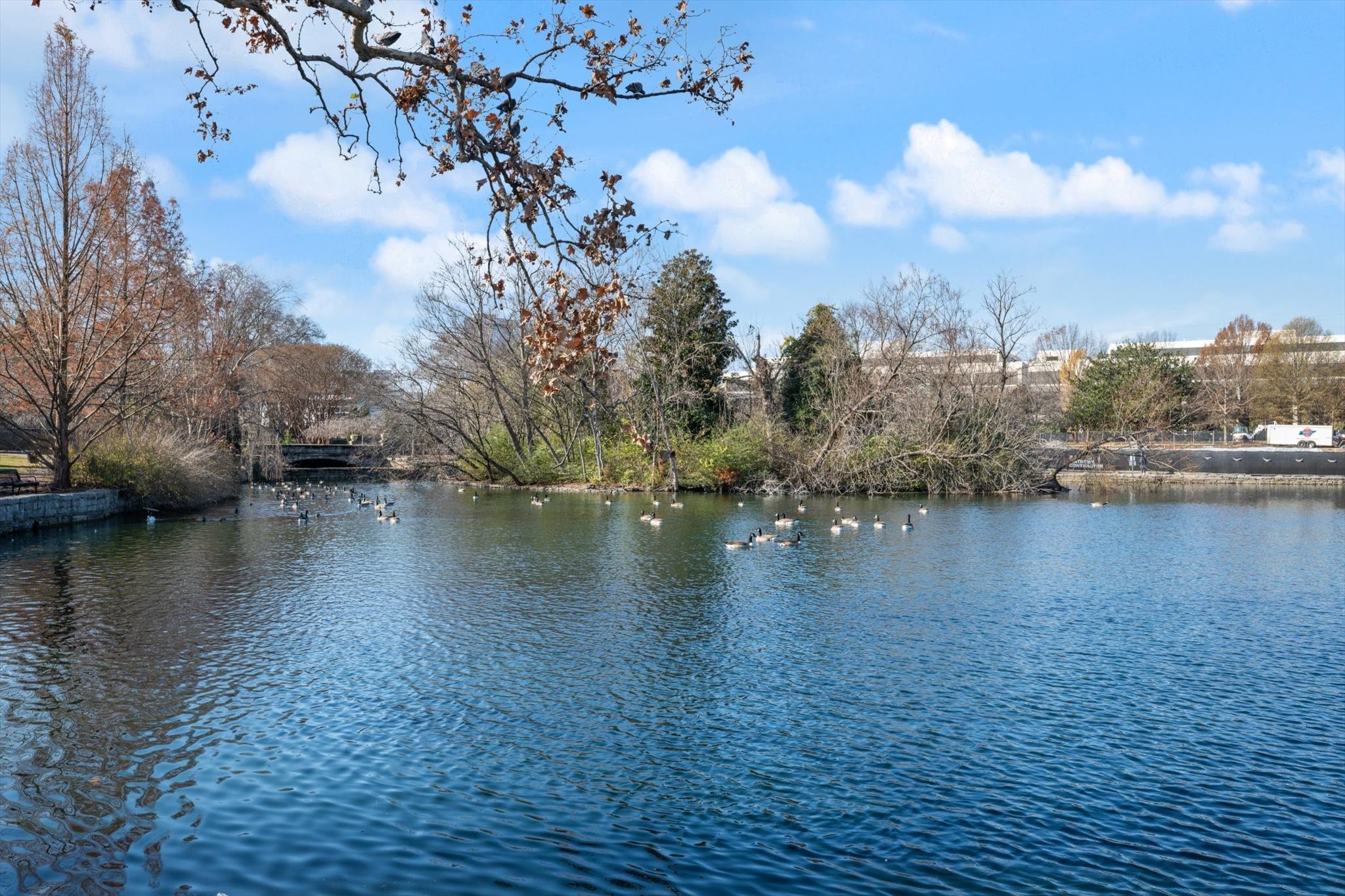 405 Avoca St Unit: 4