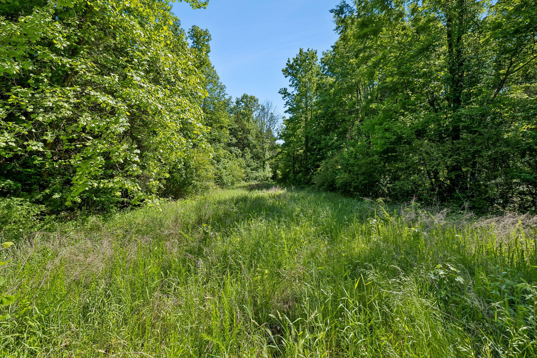 655 Burton Ridge Rd