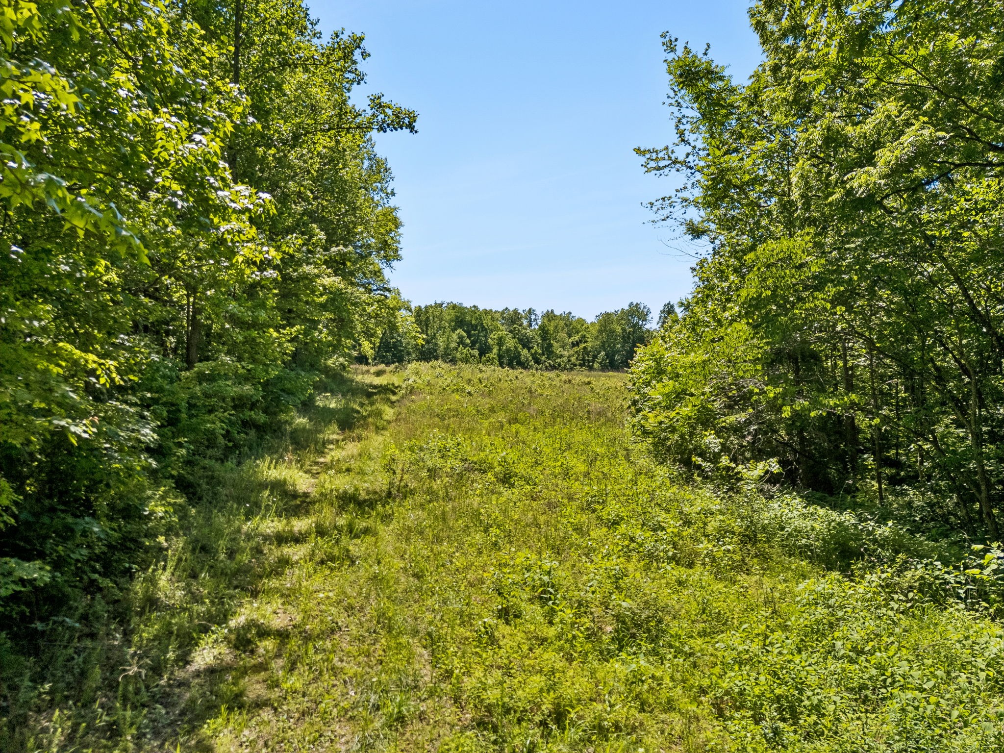 655 Burton Ridge Rd