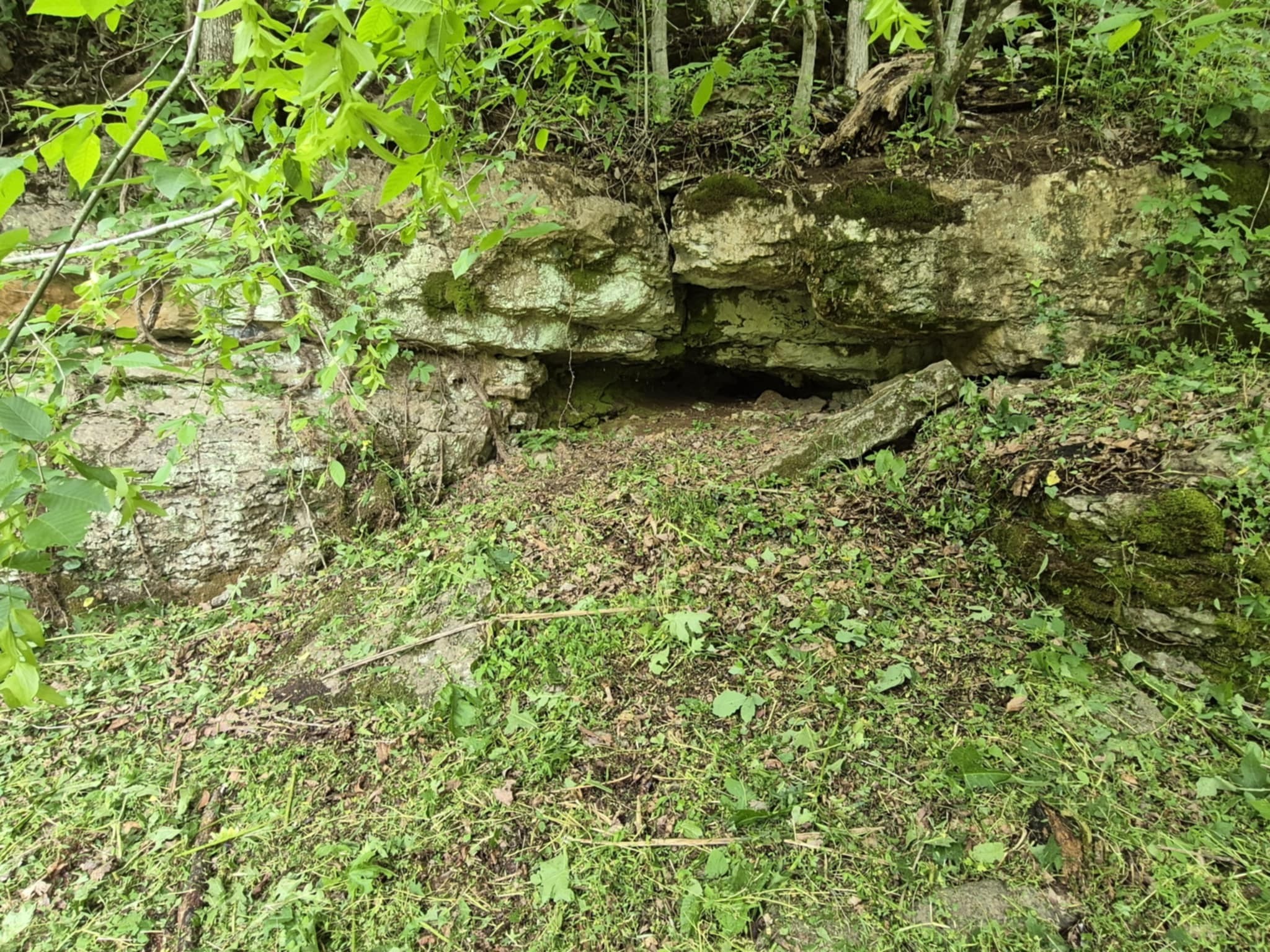 2203 Stones River Rd