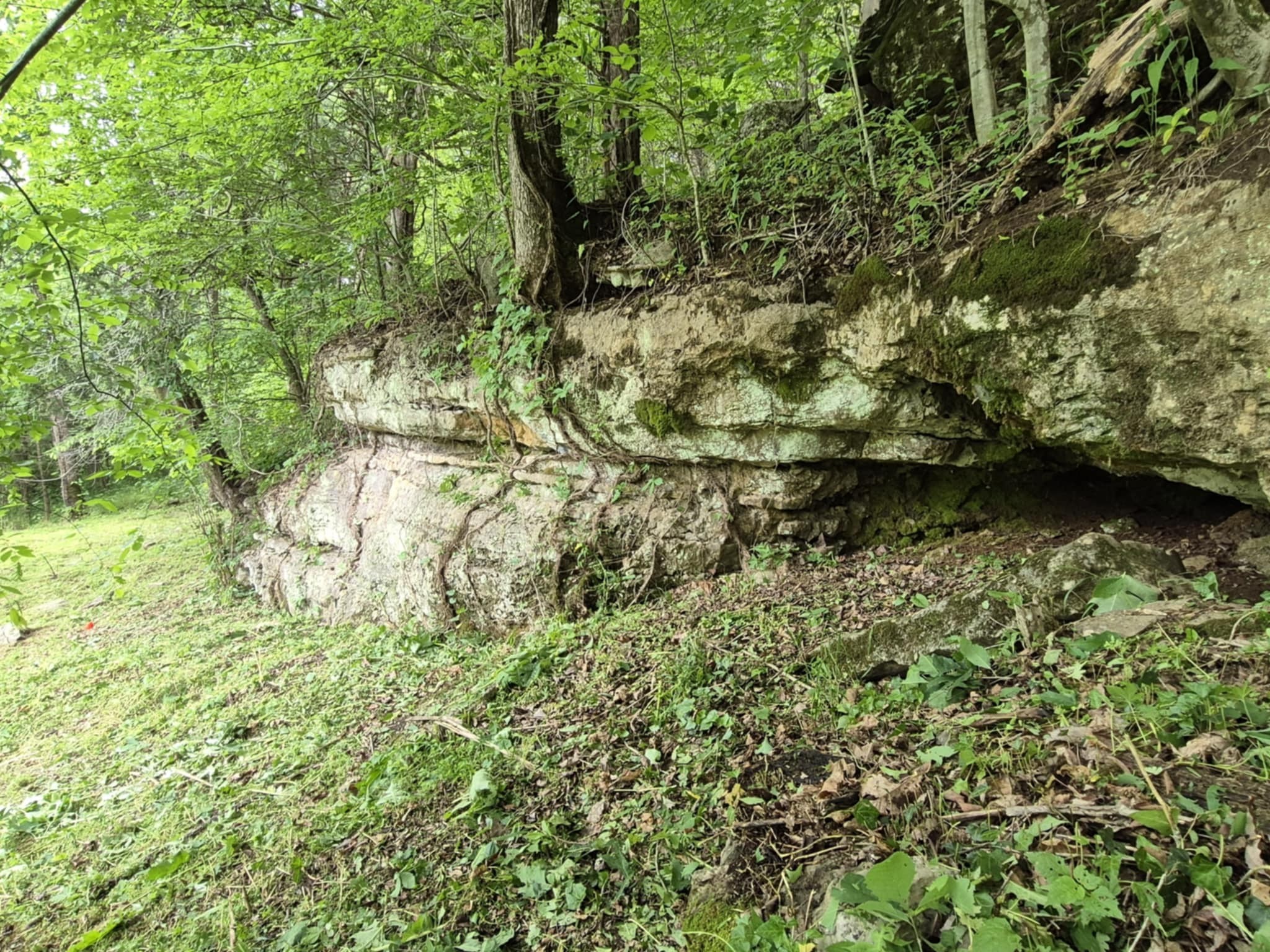 2203 Stones River Rd