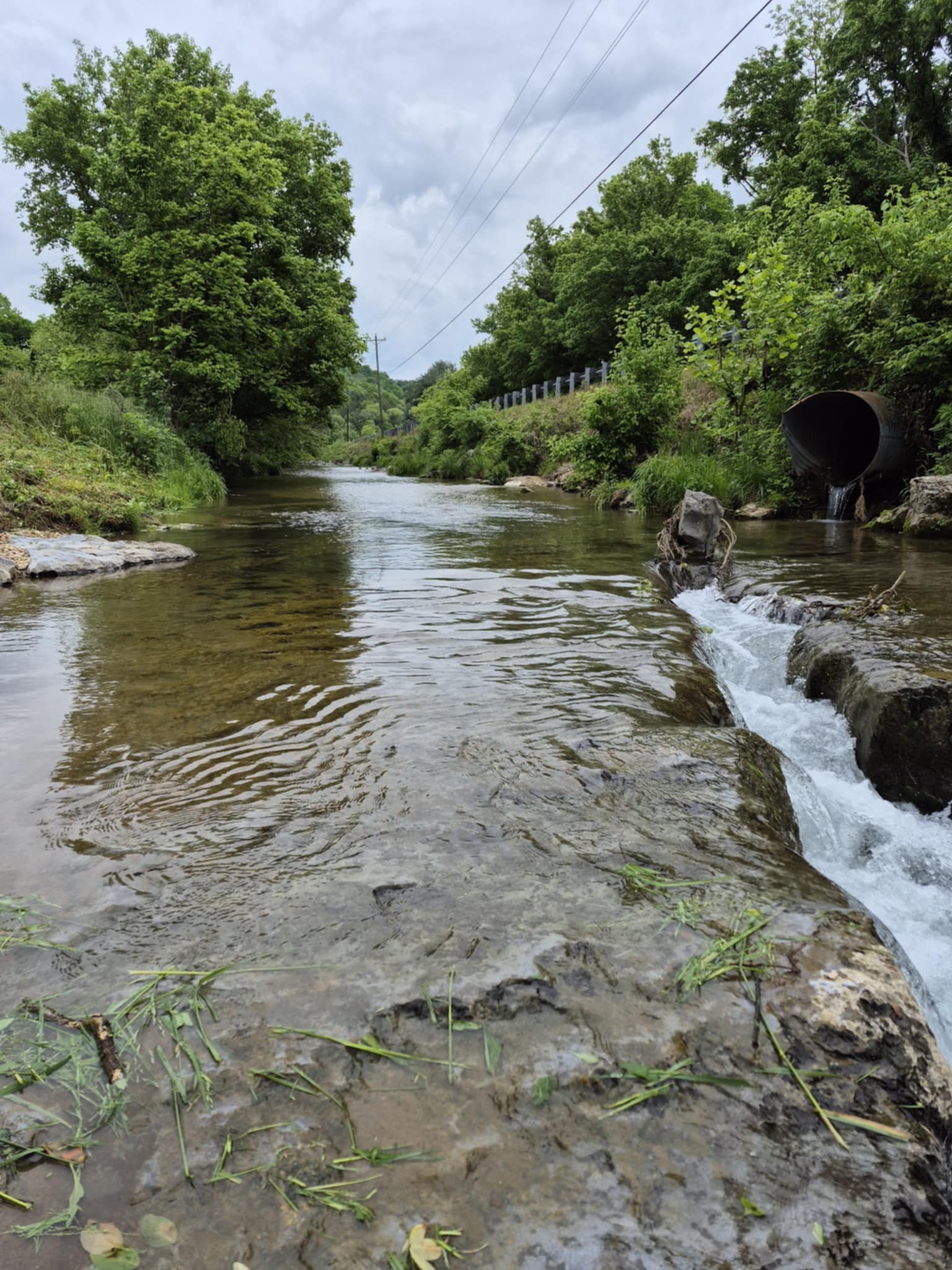 2203 Stones River Rd