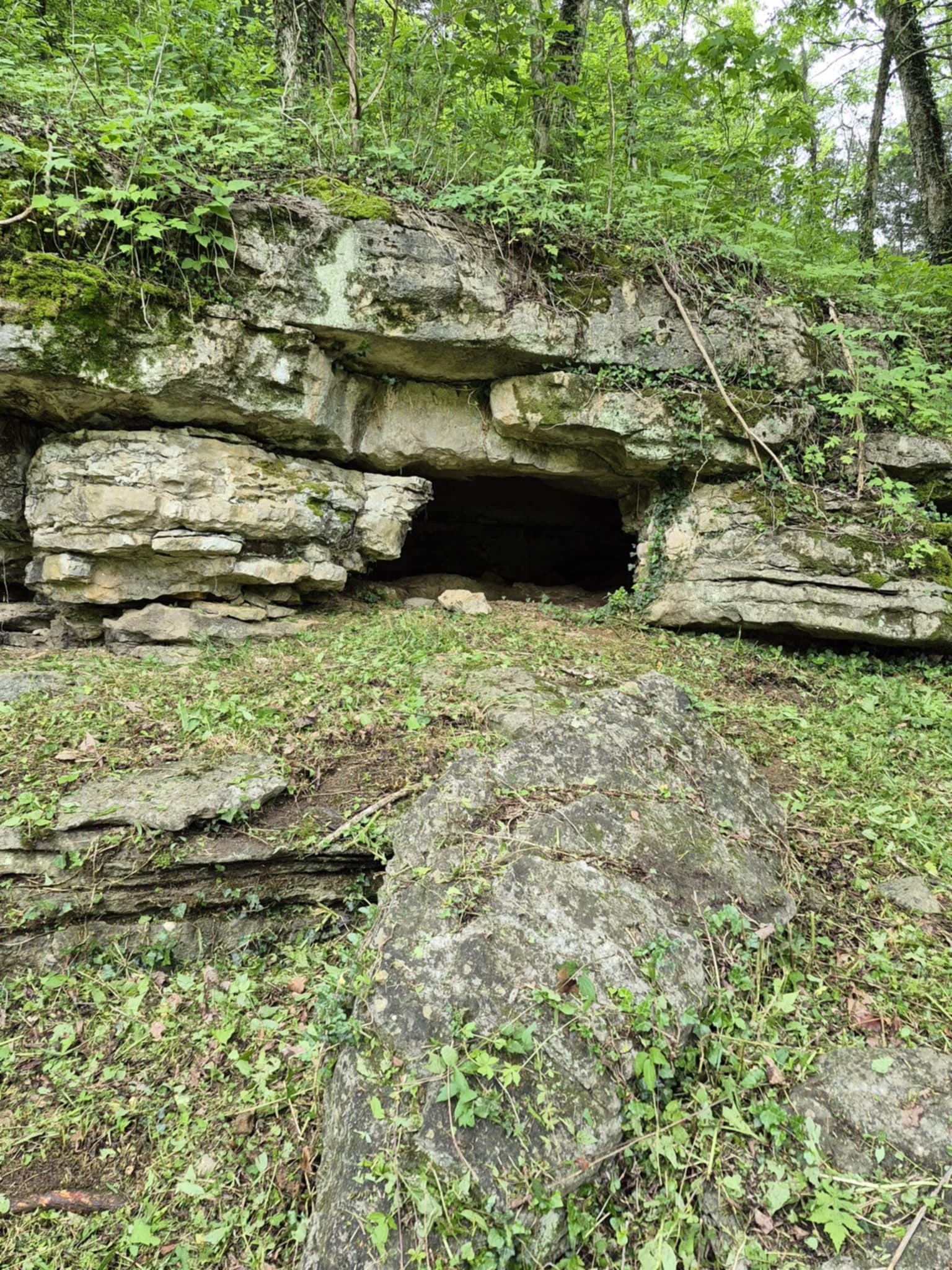 2203 Stones River Rd