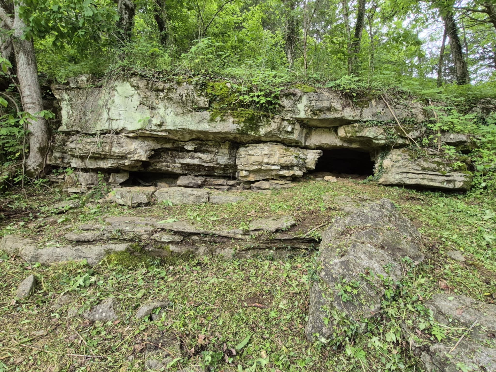 2203 Stones River Rd