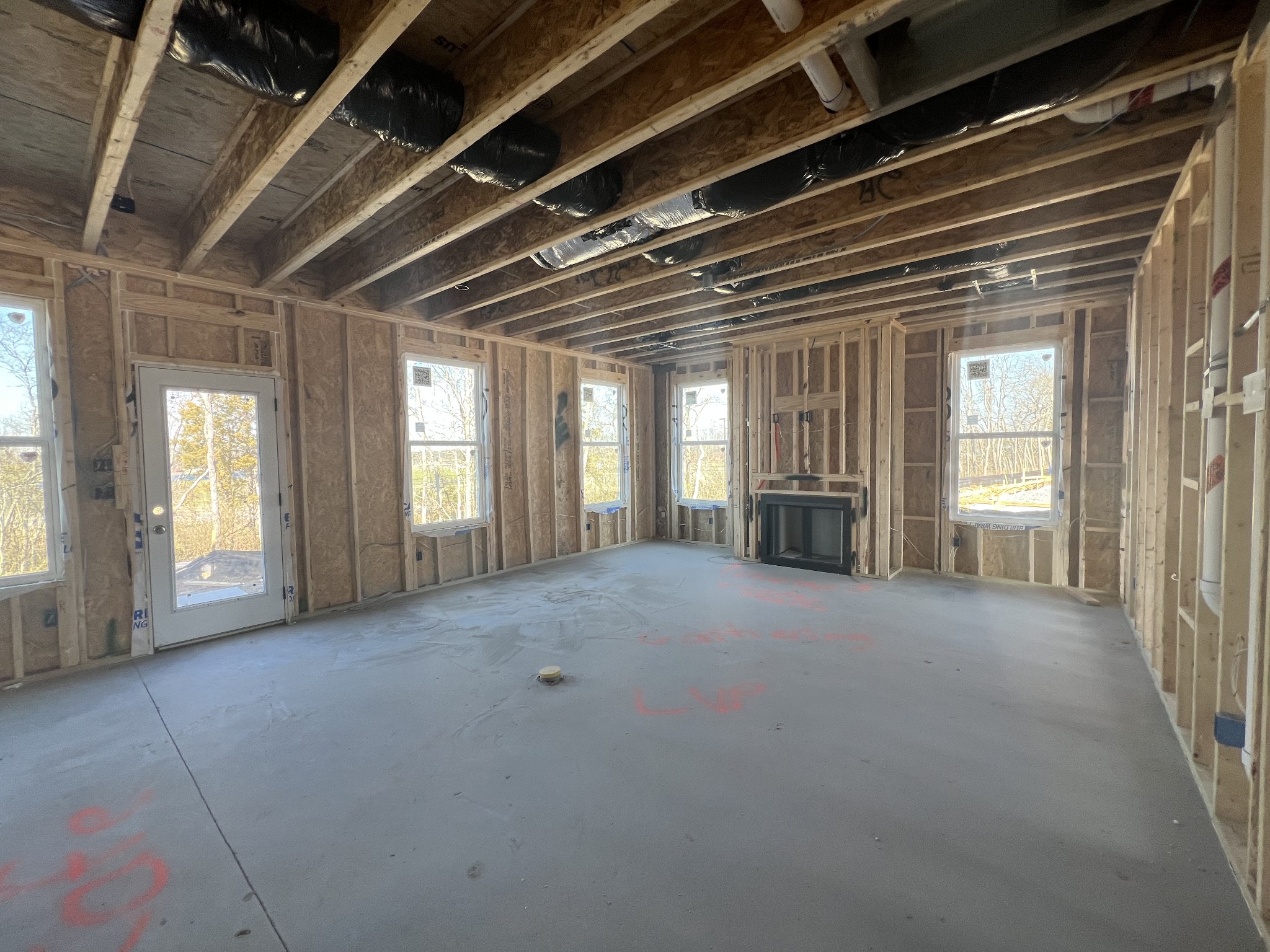 4154 Dream Beetle Loop