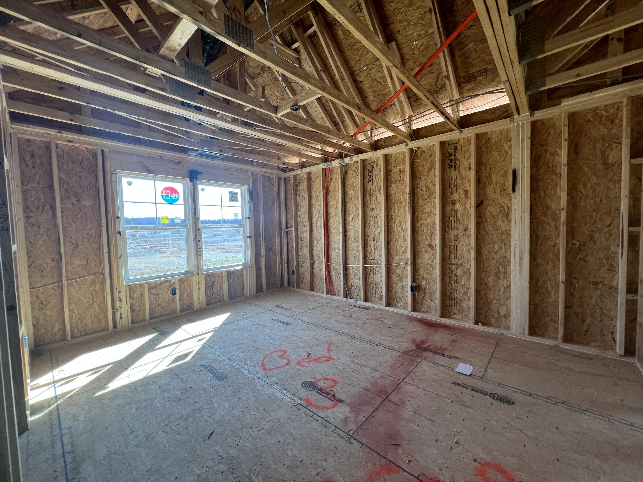 4154 Dream Beetle Loop